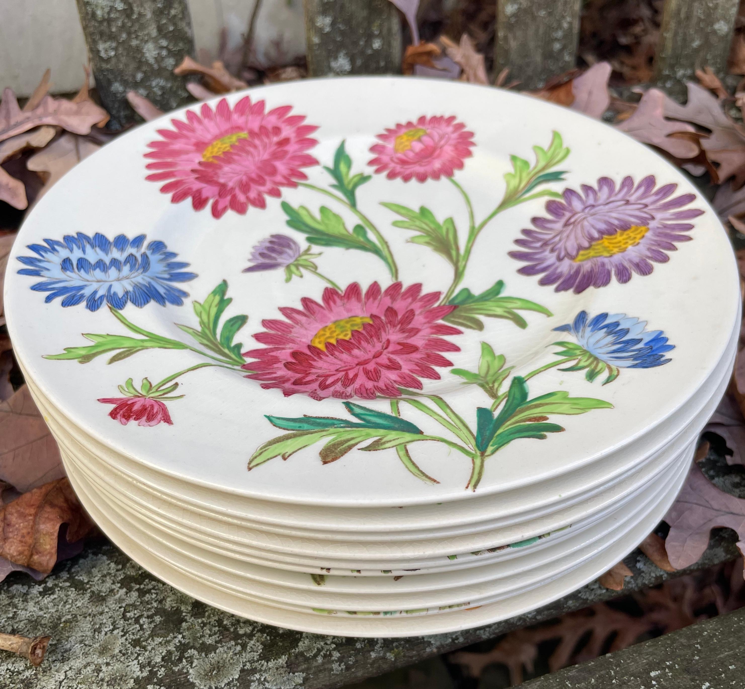Set of Ten English Flower Plates For Sale 7