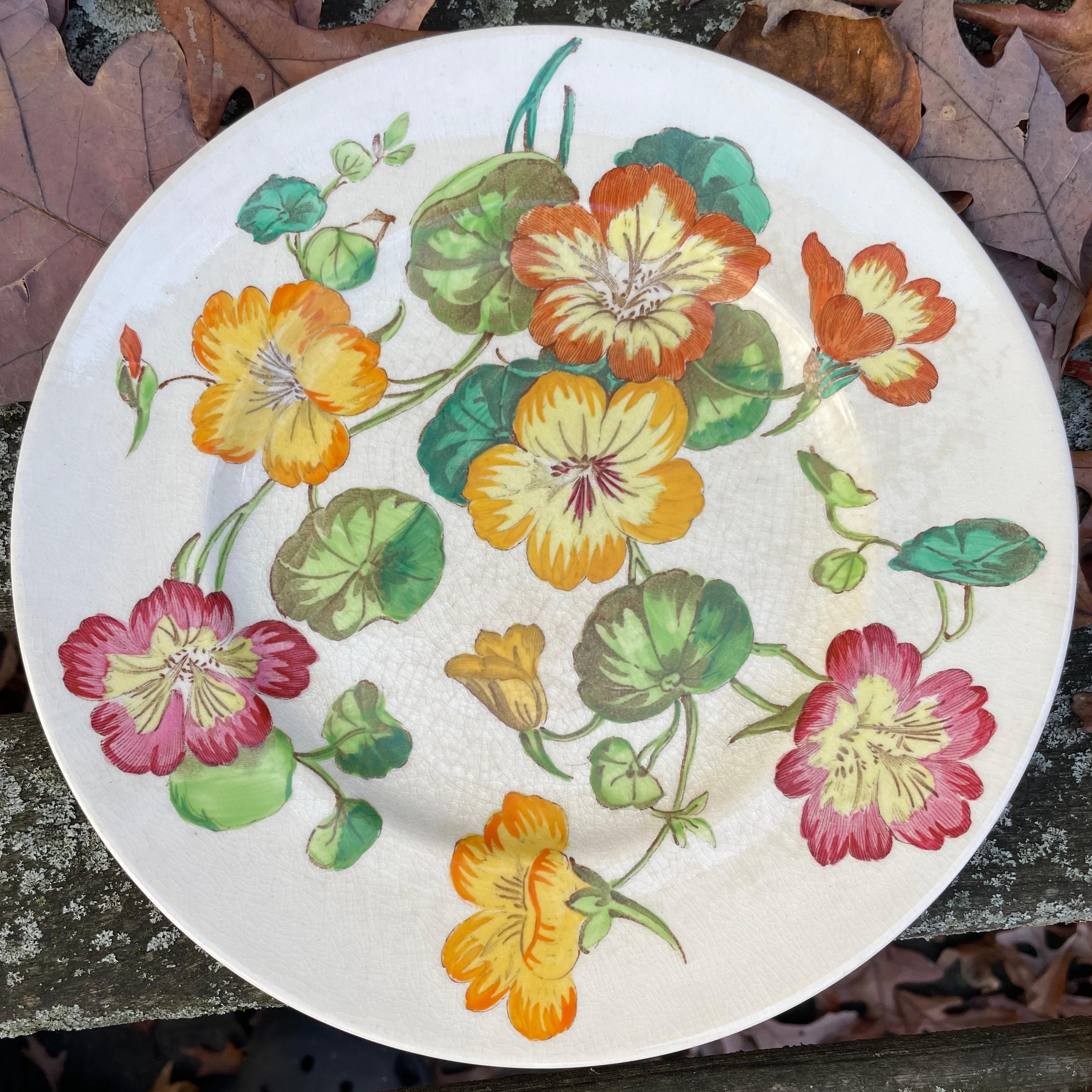 Glazed Set of Ten English Flower Plates For Sale