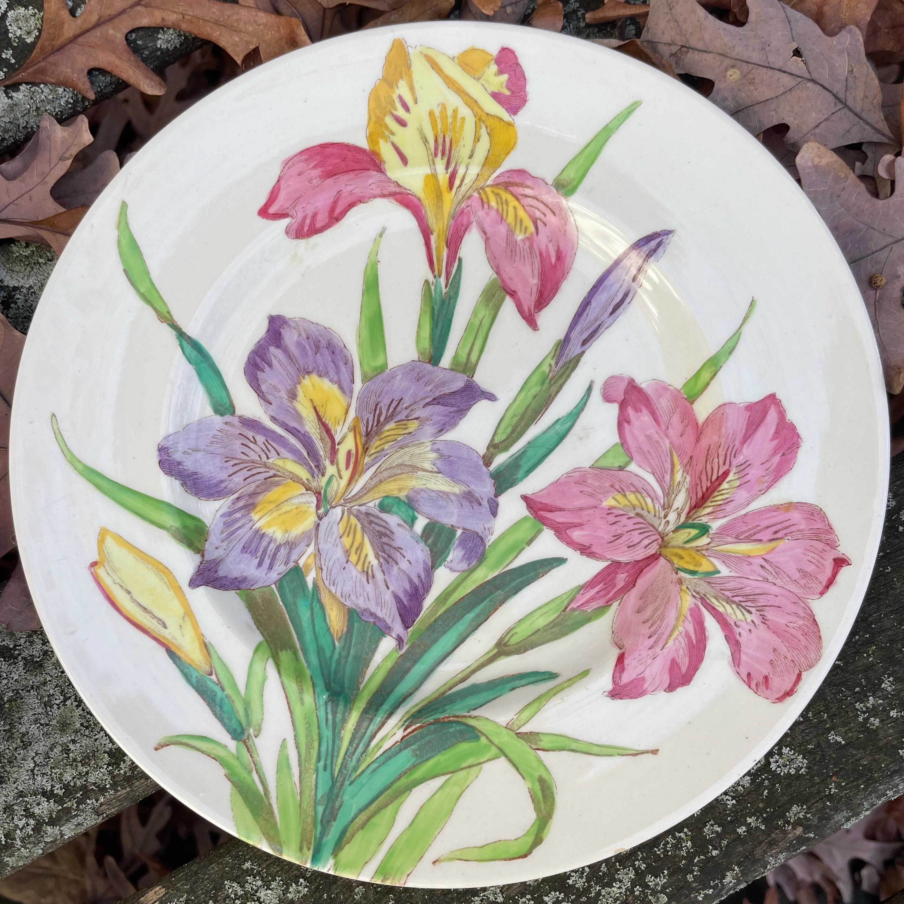 Ceramic Set of Ten English Flower Plates For Sale