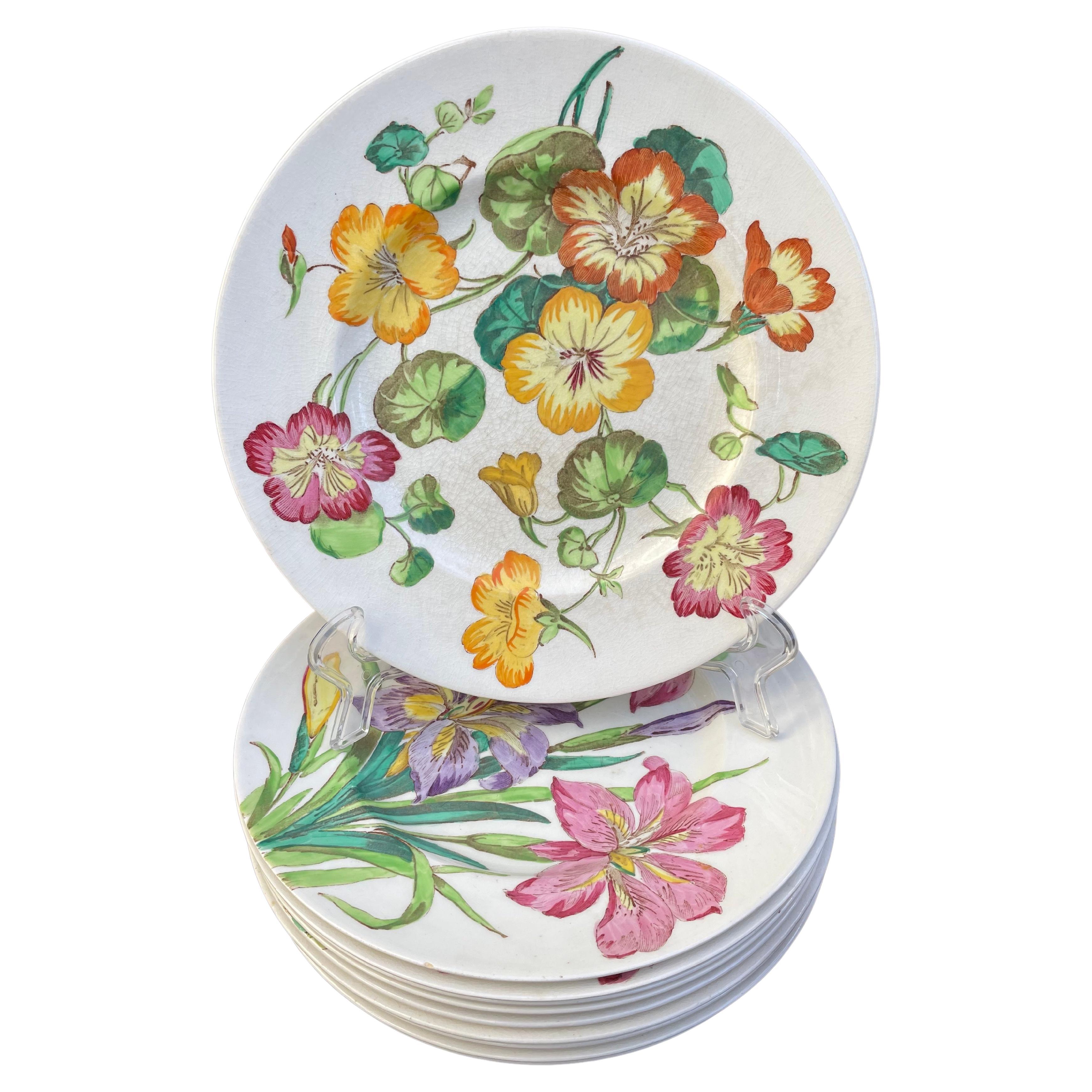 Set of Ten English Flower Plates For Sale