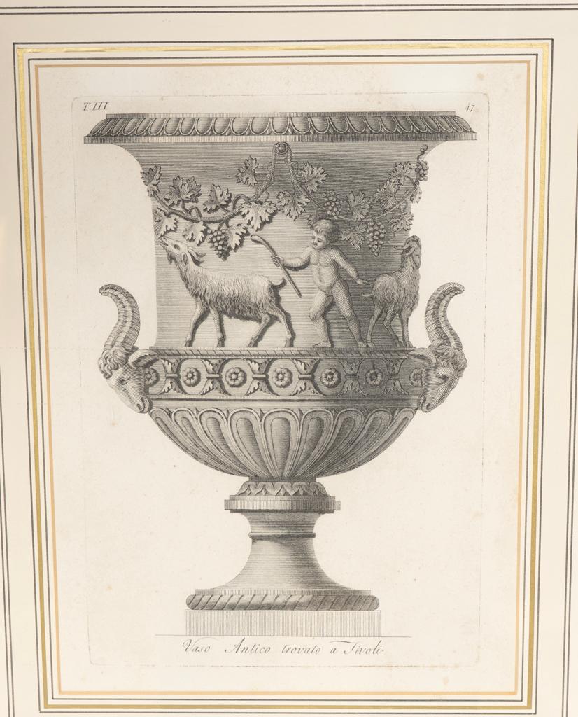 Ensemble de dix gravures encadrées de vases classiques par Carlo Antonini en vente 5