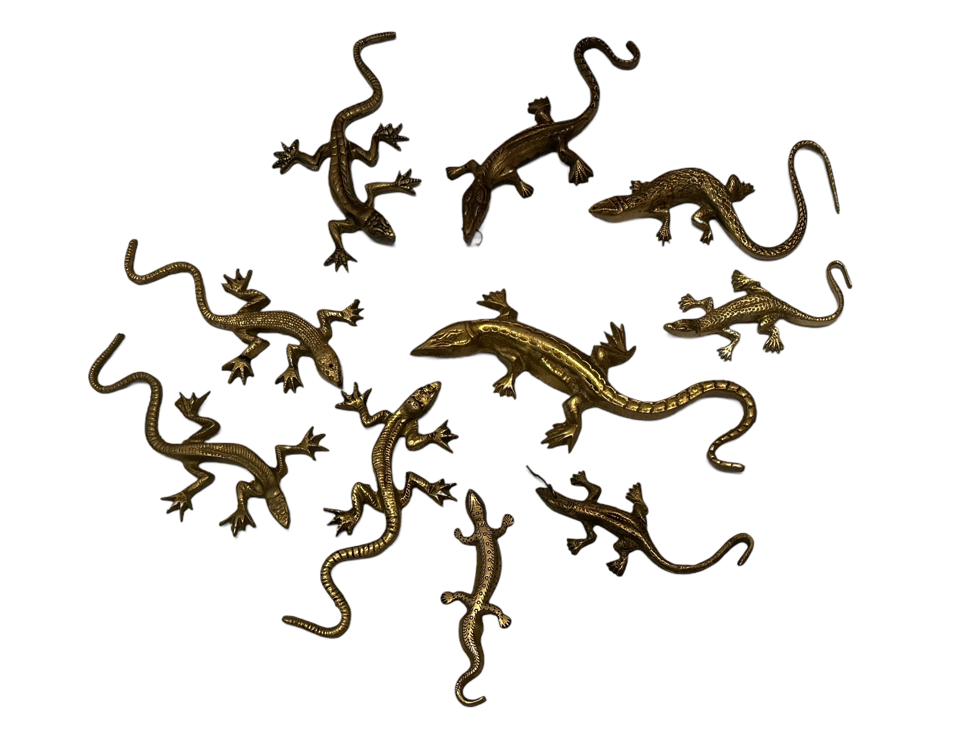 gecko vs salamander