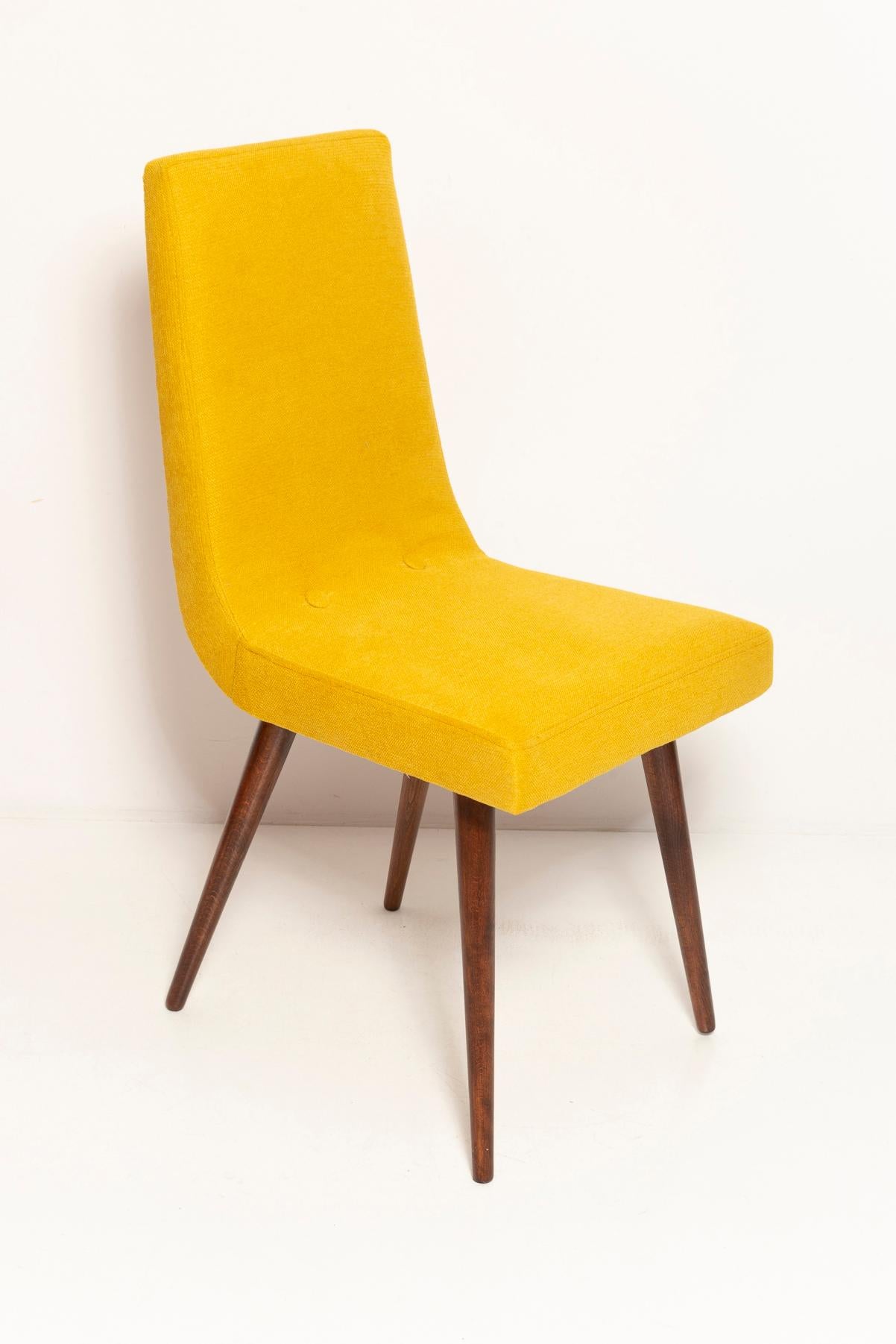 Set of Ten Midcentury Mustard Yellow Wool Chairs, Rajmund Halas Europe, 1960s For Sale 1