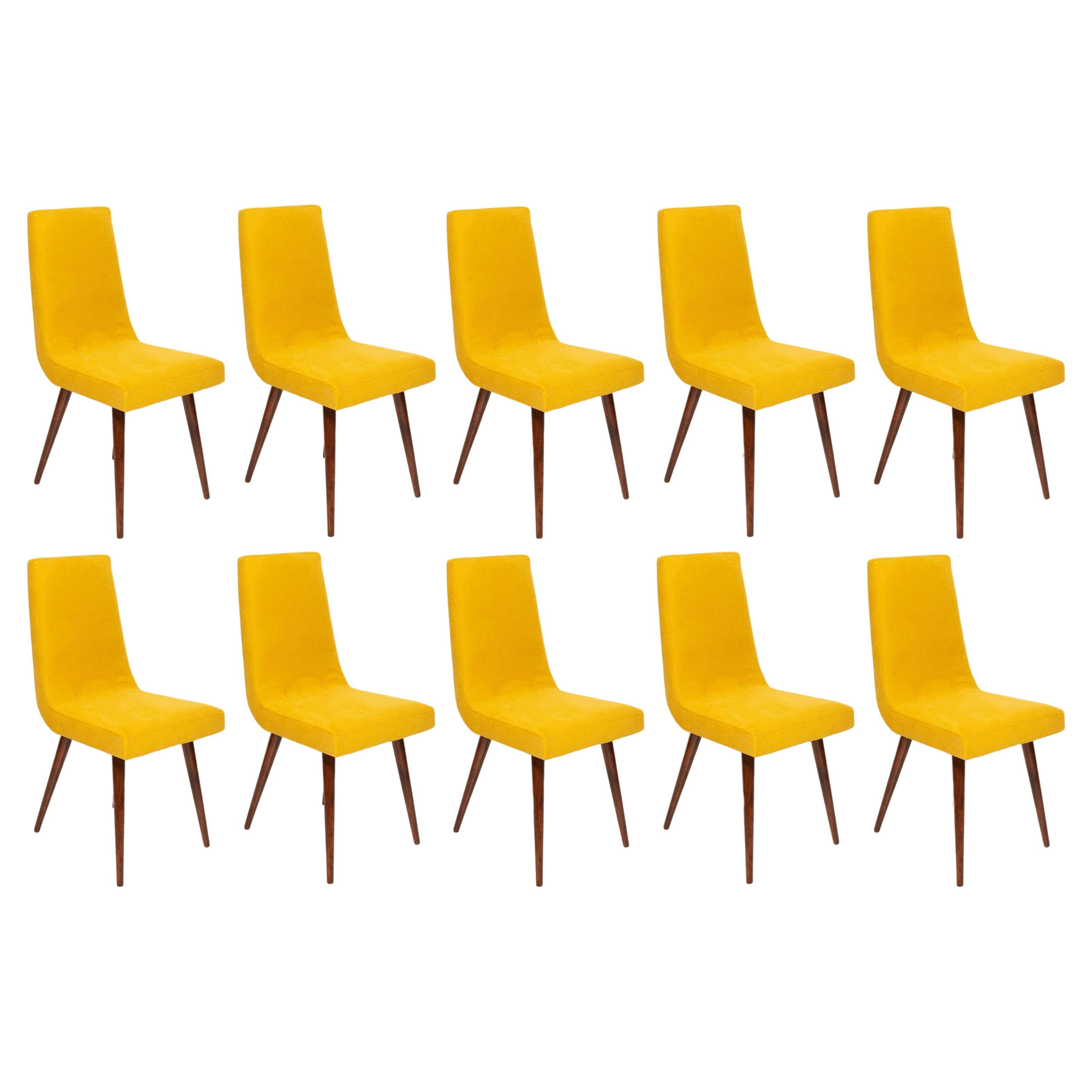 Set of Ten Midcentury Mustard Yellow Wool Chairs, Rajmund Halas Europe, 1960s For Sale