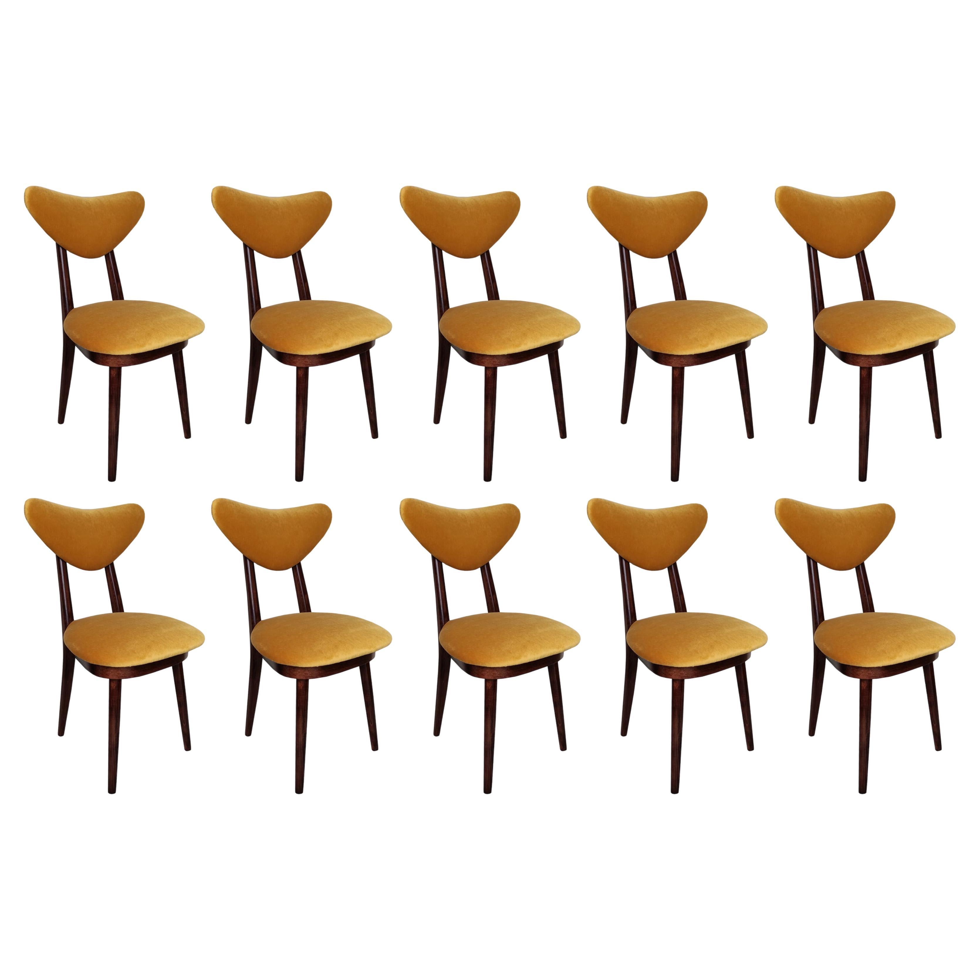 Set of Ten Mid Century Yellow Velvet, Walnut Wood, Heart Chairs, Poland, 1960s