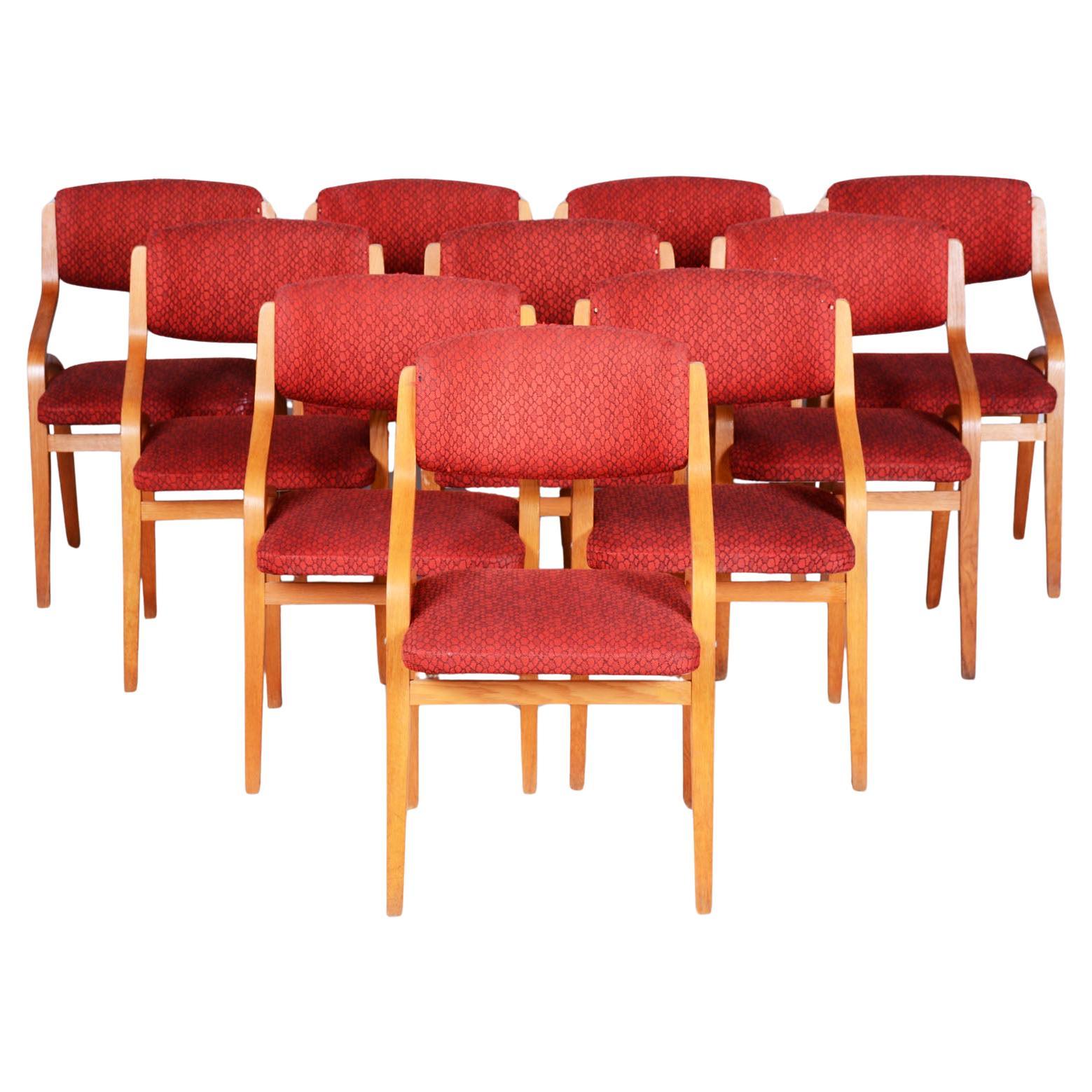 Set of Ten Original Mid-Century Chairs, by Ludvik Volak, Maple, Czech, 1960s