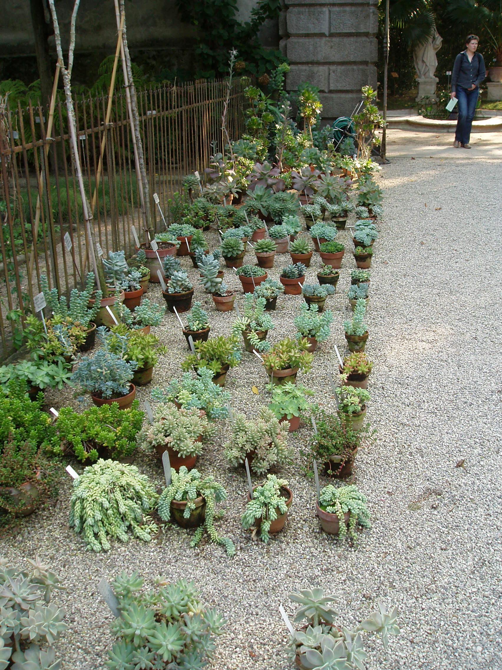 Milieu du XXe siècle Ensemble de dix pots en terre cuite originaux du milieu du siècle, années 1950 en vente