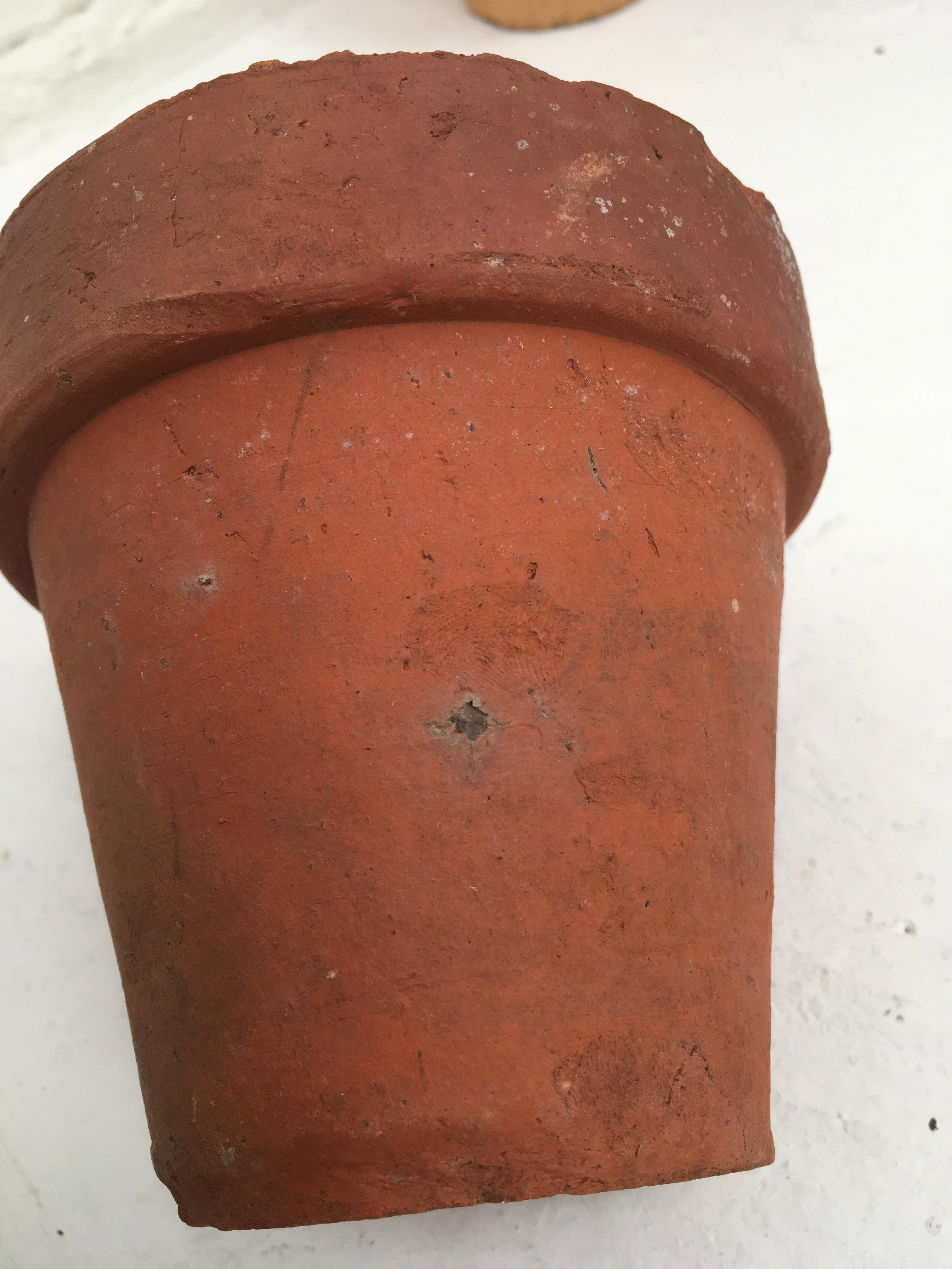 Set di dieci vasi in terracotta originali della metà del secolo scorso, anni '50 in vendita 11