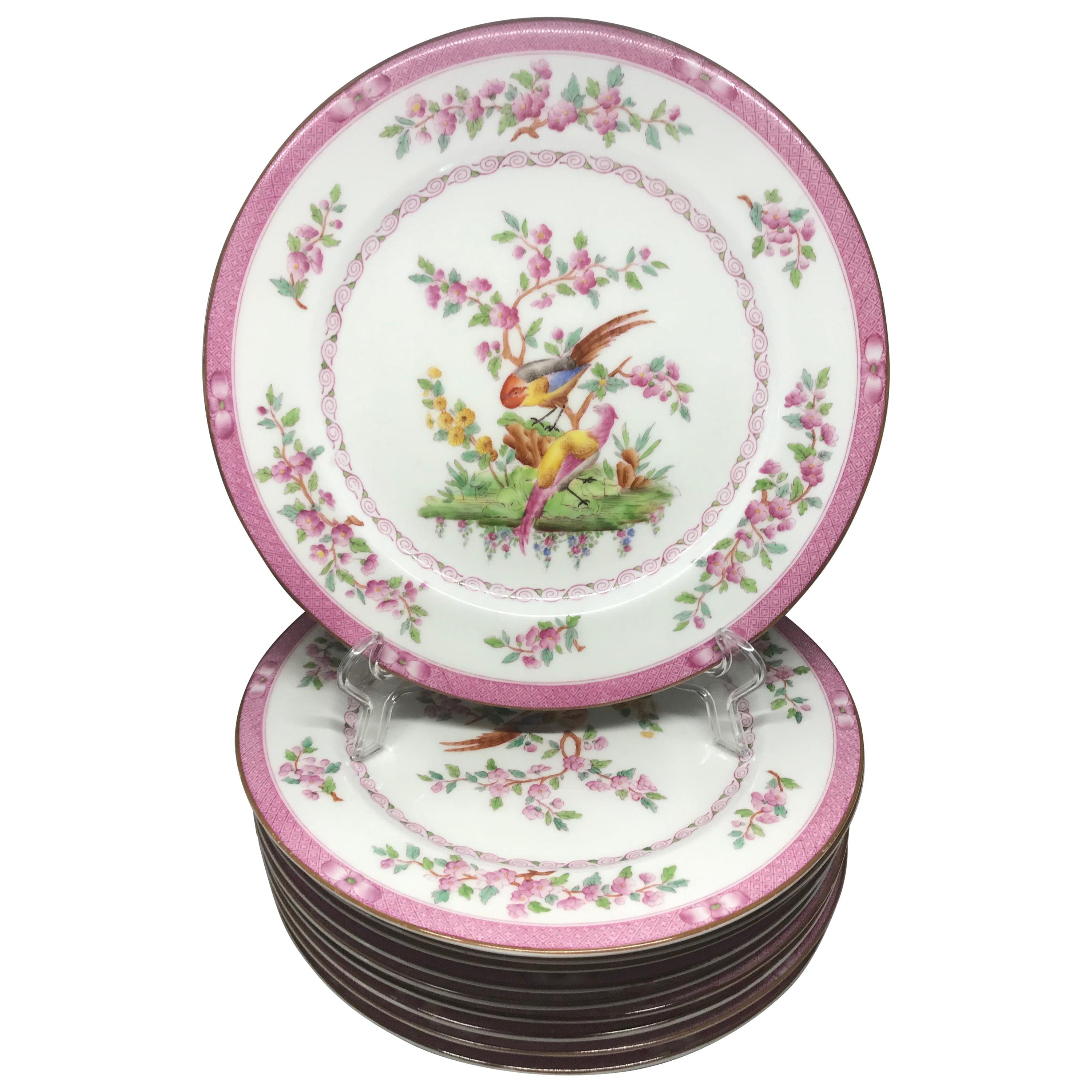 Set of Ten Pink Bird Plates For Sale
