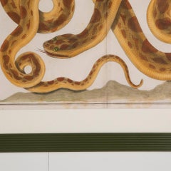 Set di tre incisioni di serpenti del XVIII secolo [SEBA, Albertus].