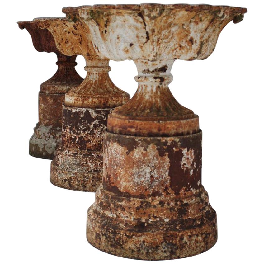  Set of Three 19th Century Cast Iron Garden Urns