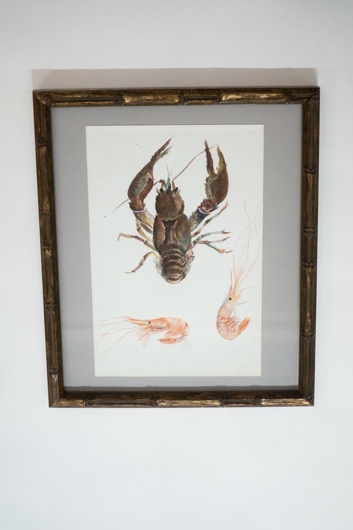 Set of Three 19th Century Framed Sea Life Watercolor Studies In Good Condition In New York, NY