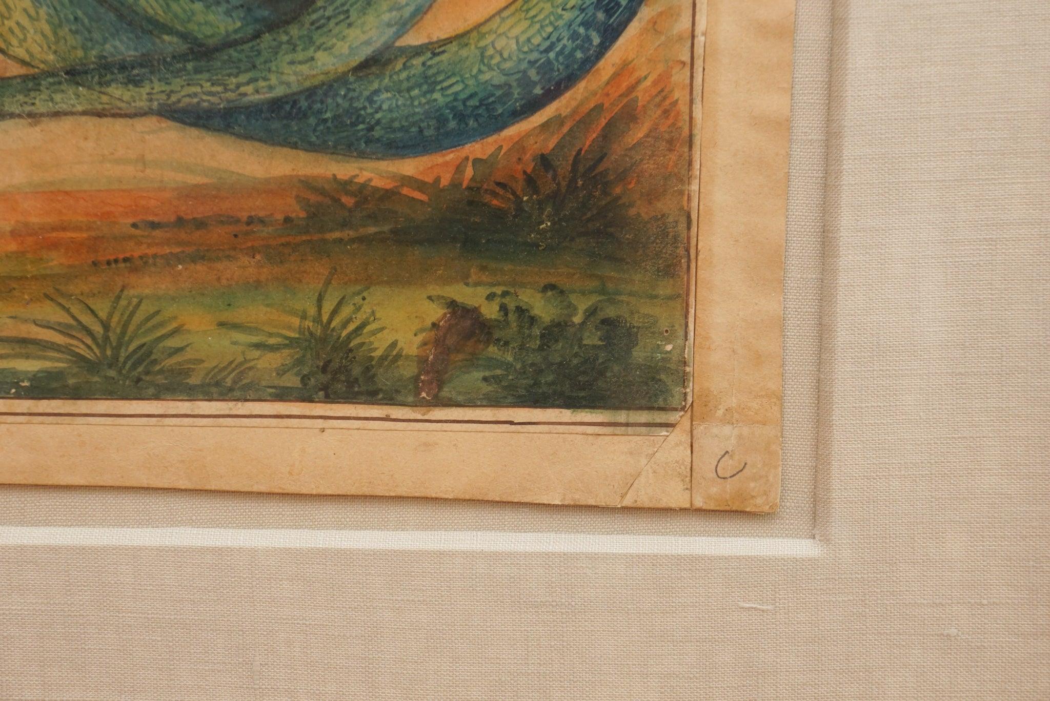 Set of Three 19th Century West Indies Original Watercolors 2