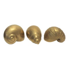 Set of Three 22-Karat Gold Glazed Nautical Ceramic Shells