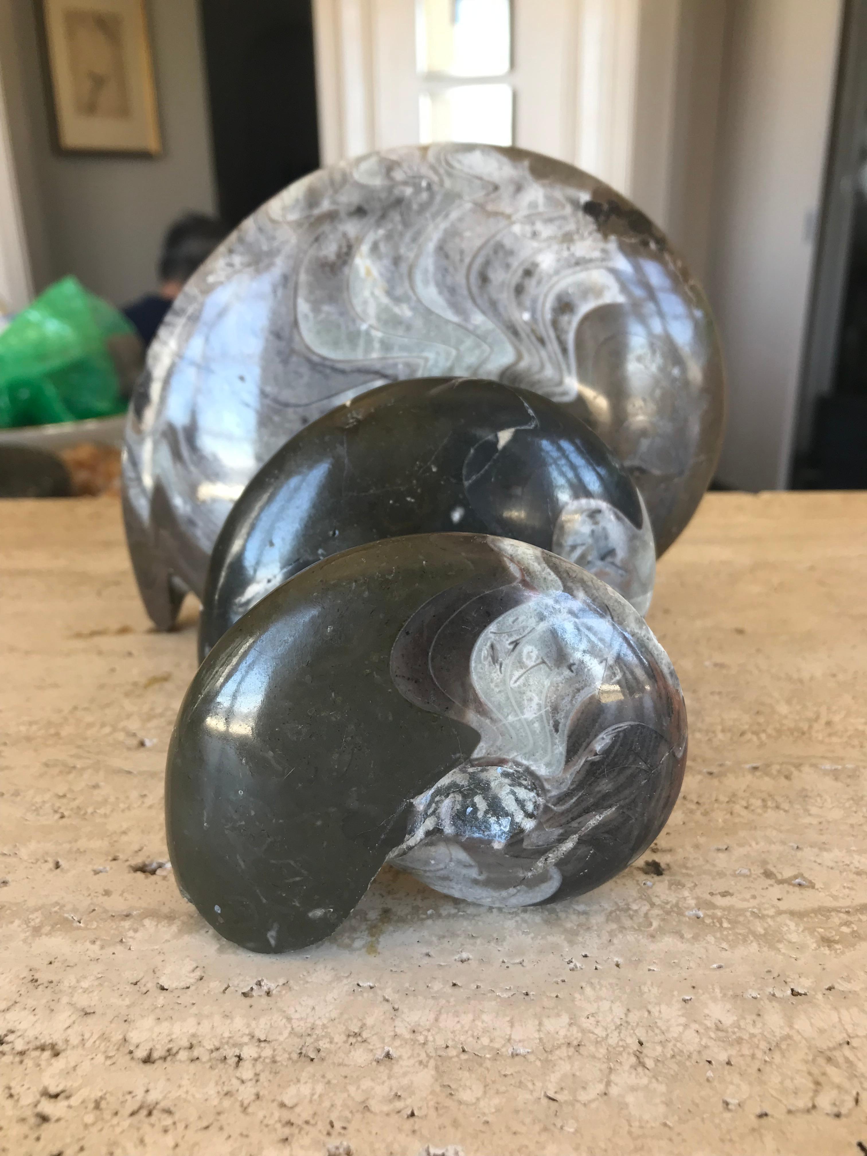 Set of Three Ammonites of Nautilus Shells In Excellent Condition In Larkspur, CA