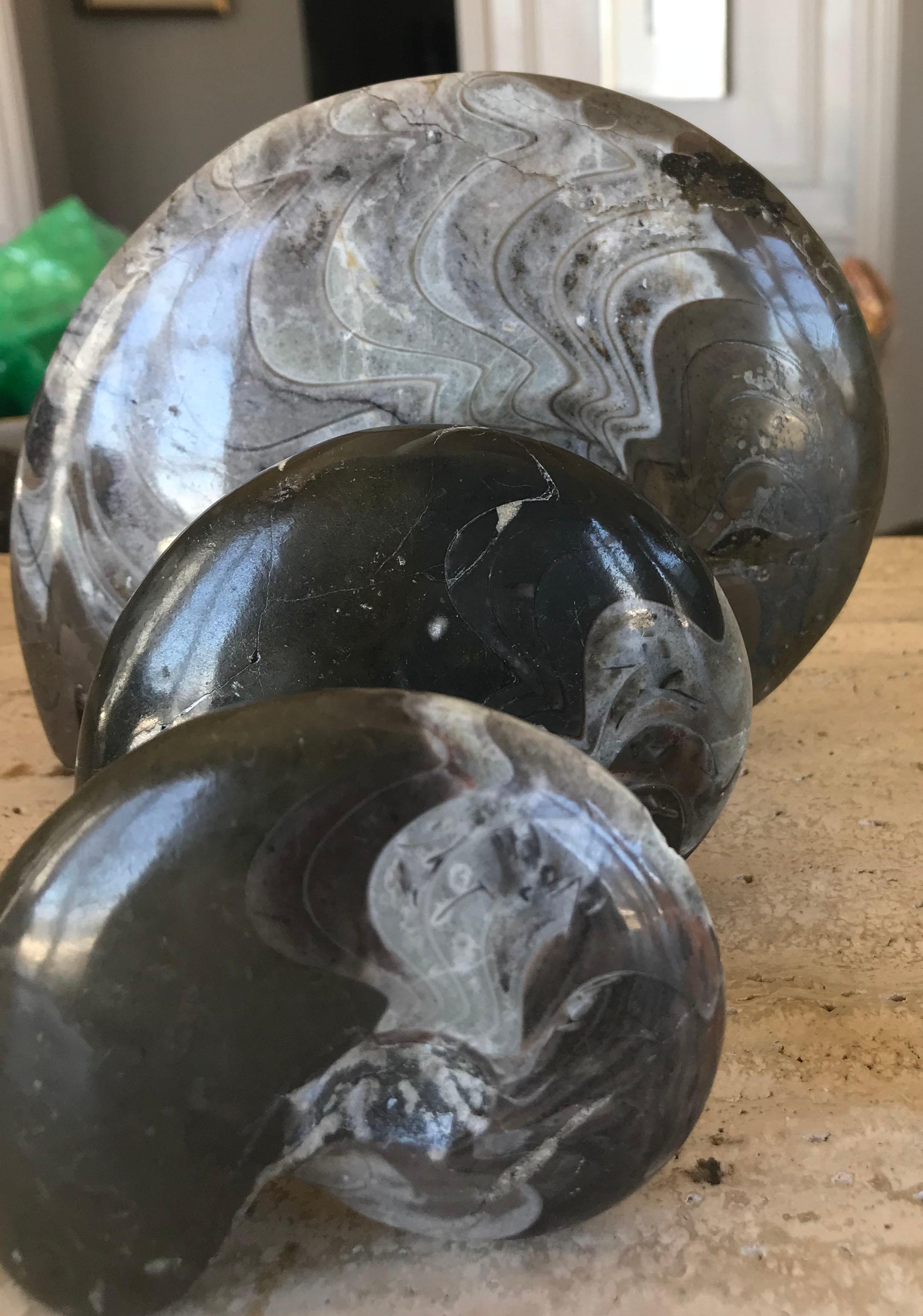 Stone Set of Three Ammonites of Nautilus Shells