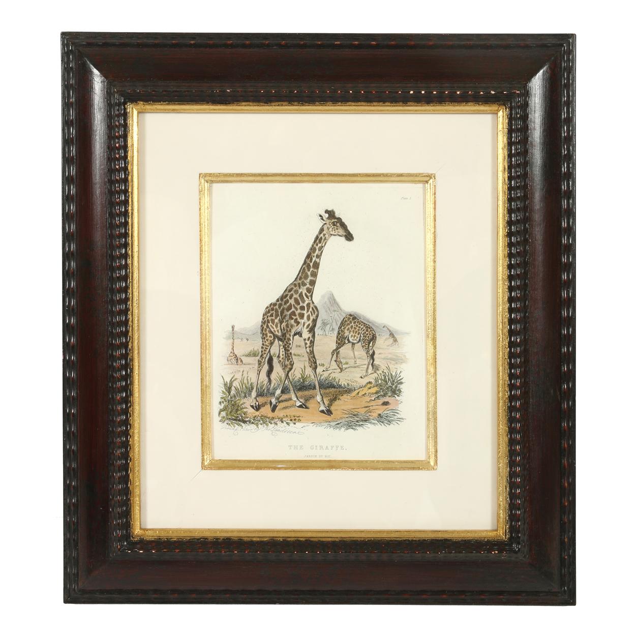 Unknown Set of Three Animal Prints in Mahogany Frames For Sale