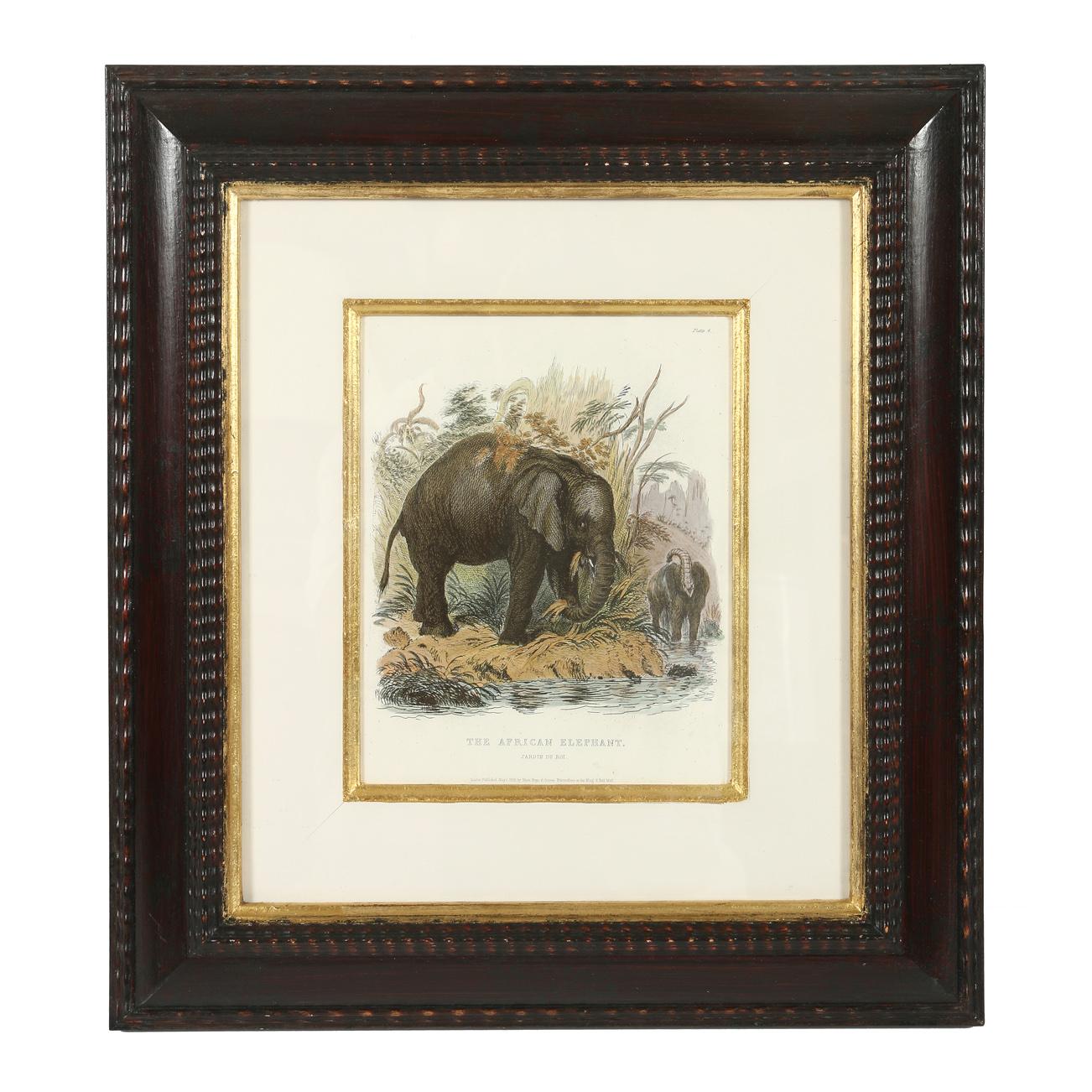 Set of Three Animal Prints in Mahogany Frames In Good Condition For Sale In Locust Valley, NY