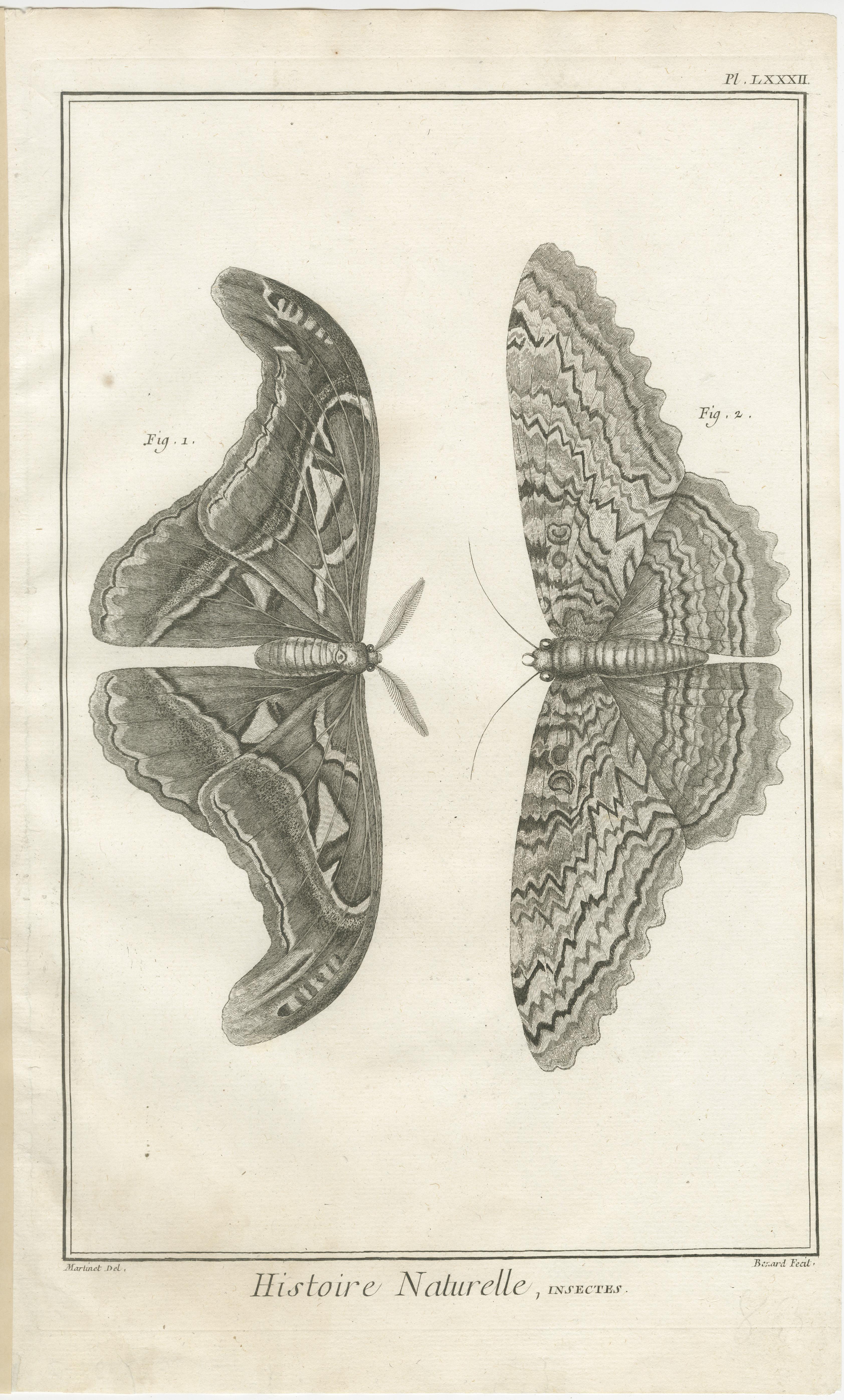 Gravé Ensemble de trois gravures anciennes - papillons et mites, 18e siècle c.1770 en vente