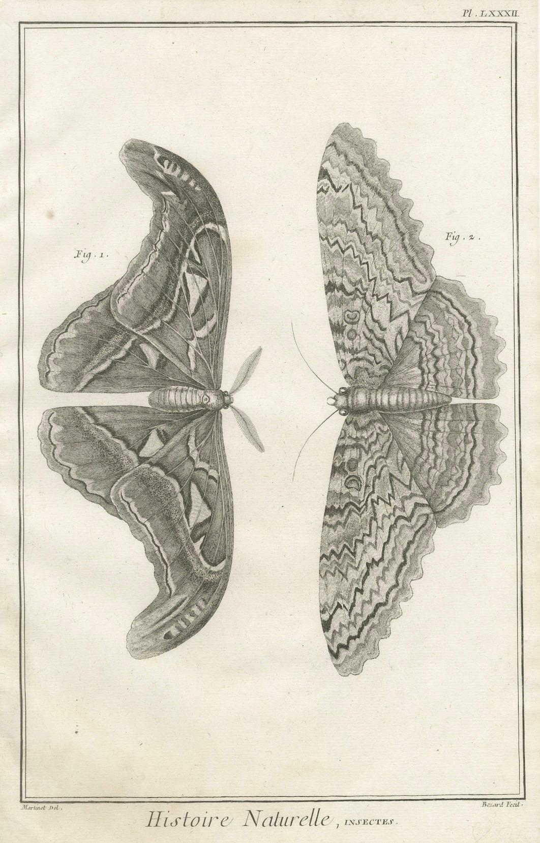 Ensemble de trois gravures anciennes - papillons et mites, 18e siècle c.1770 Bon état - En vente à Langweer, NL