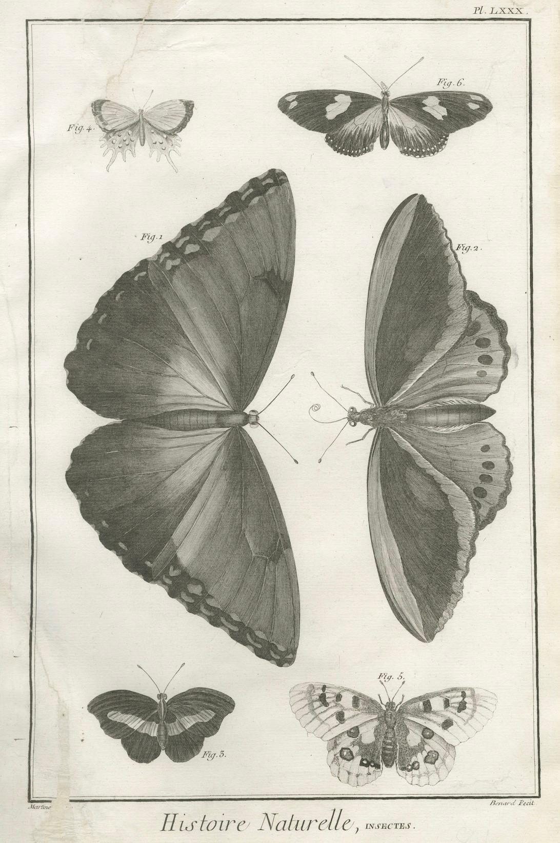 Papier Ensemble de trois gravures anciennes - papillons et mites, 18e siècle c.1770 en vente