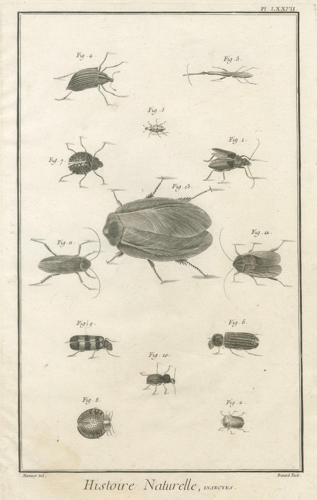Set of Three Antique Engravings of Insects from Diderot’s Encyclopédie, ca. 1770

A set of three finely engraved copperplates from Denis Diderot and Jean le Rond d’Alembert’s monumental Encyclopédie ou Dictionnaire raisonné des sciences, des arts et