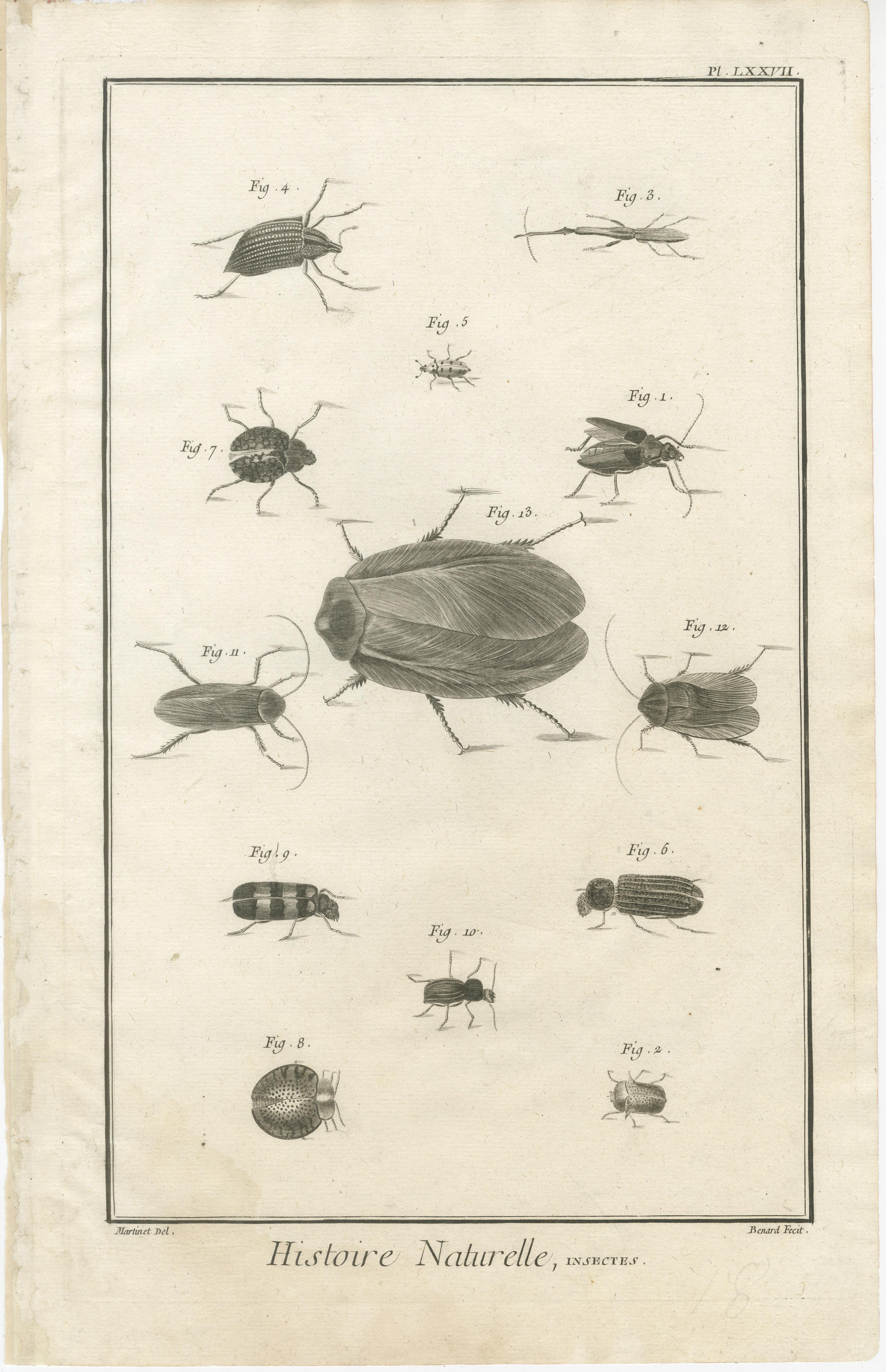 Set of Three Antique Engravings of Insects from Diderot’s Encyclopédie, ca. 1770 In Good Condition For Sale In Langweer, NL