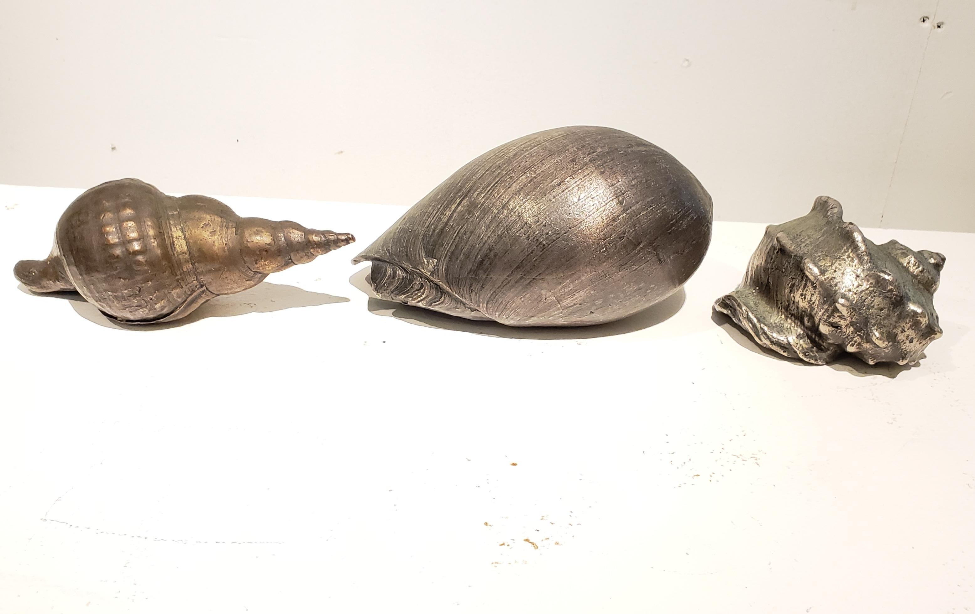 Set of Three Large Antique Italian Silvered Bronze Seashells 4