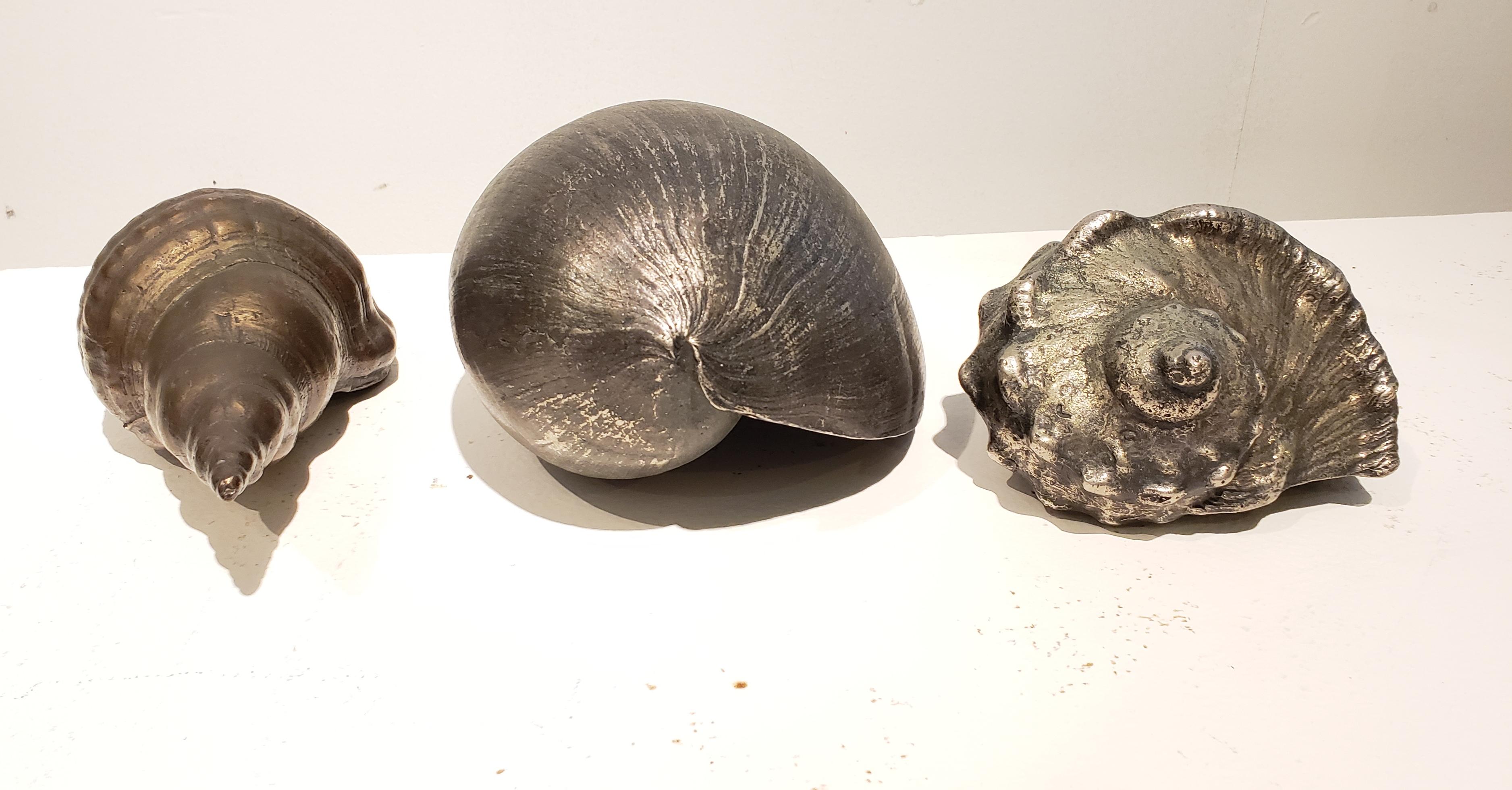 Set of Three Large Antique Italian Silvered Bronze Seashells 5
