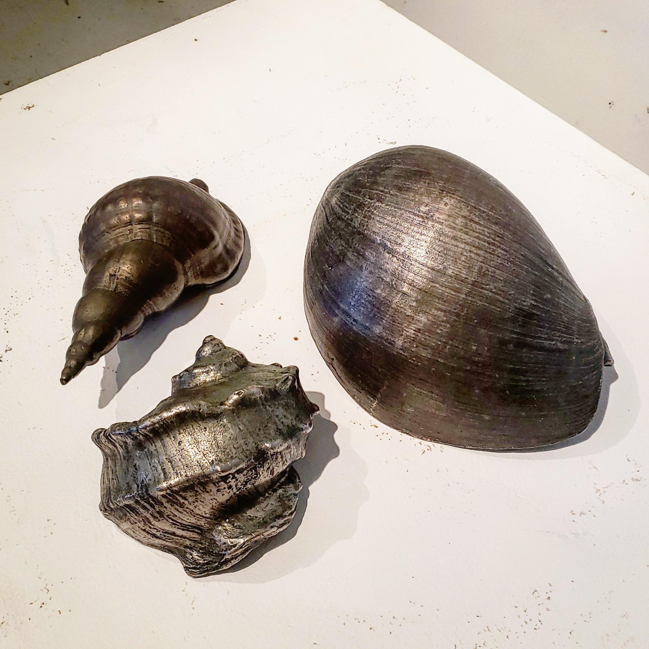 A beautiful and charming set of 3 Italian silvered bronze seashells. Each one cast from life with tremendous detail.
 The smallest measuring 5.6 inches and the largest 10.
 This beautiful collection was purchased from a home in Palm Beach.
 They