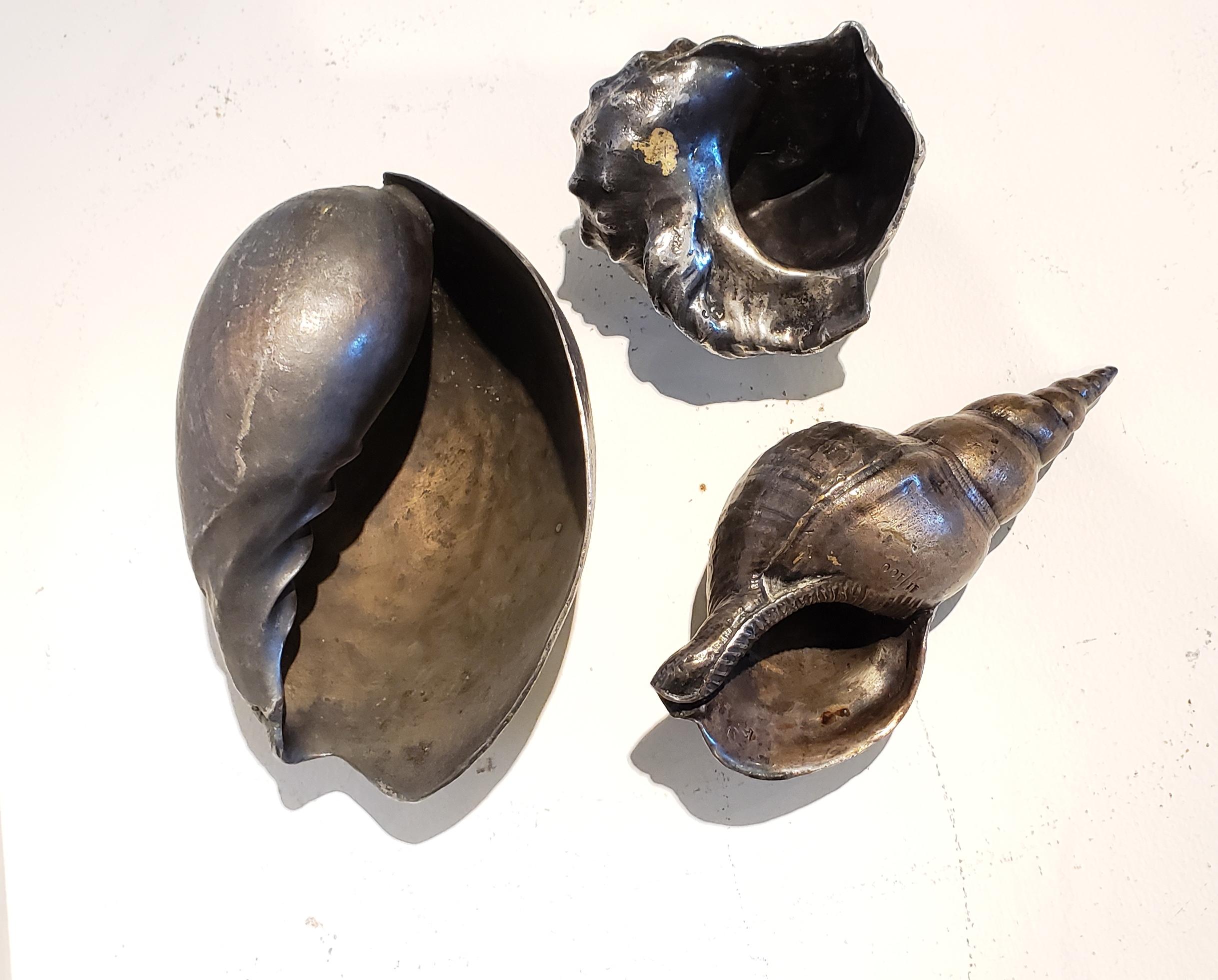 Set of Three Large Antique Italian Silvered Bronze Seashells 1