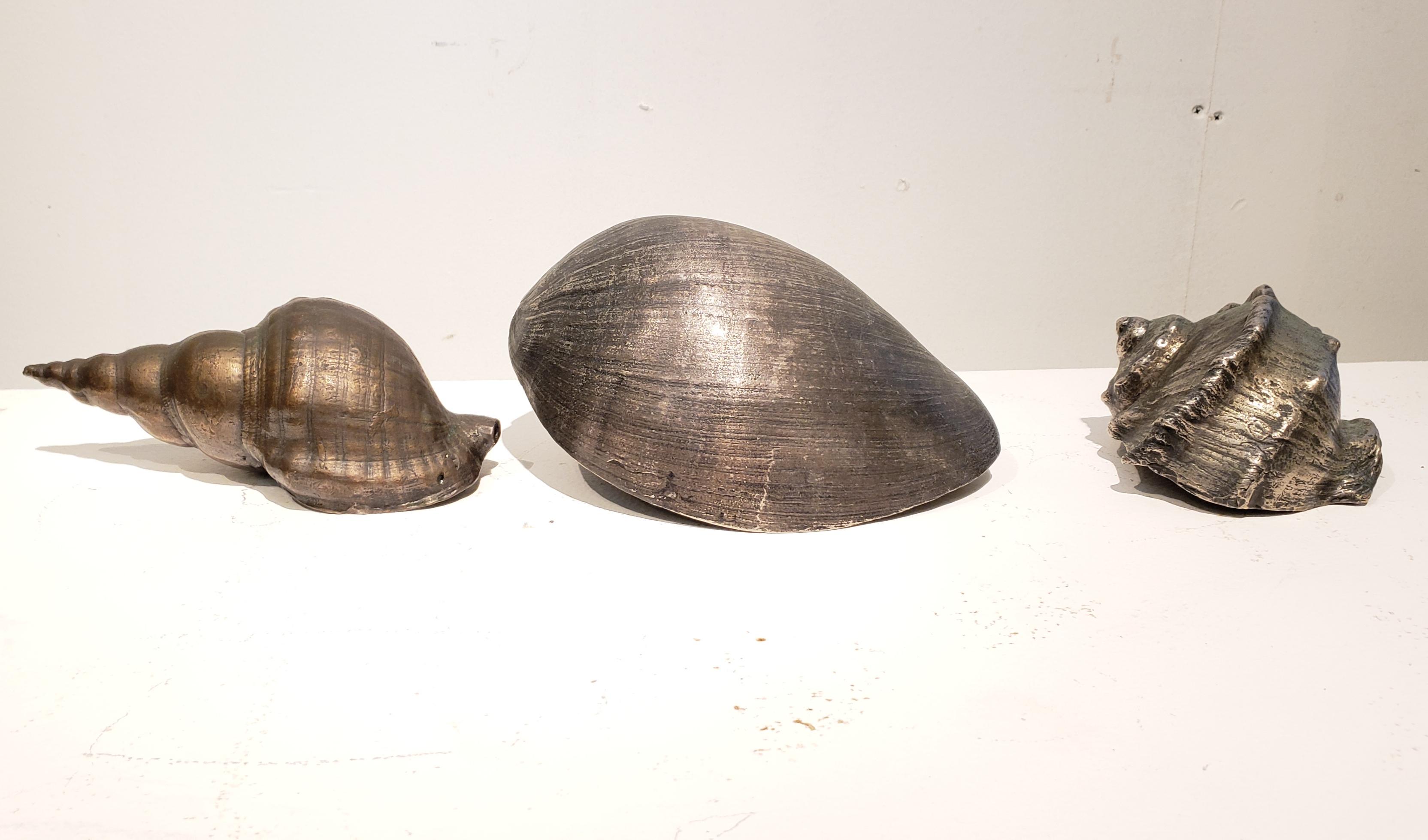 Set of Three Large Antique Italian Silvered Bronze Seashells 2