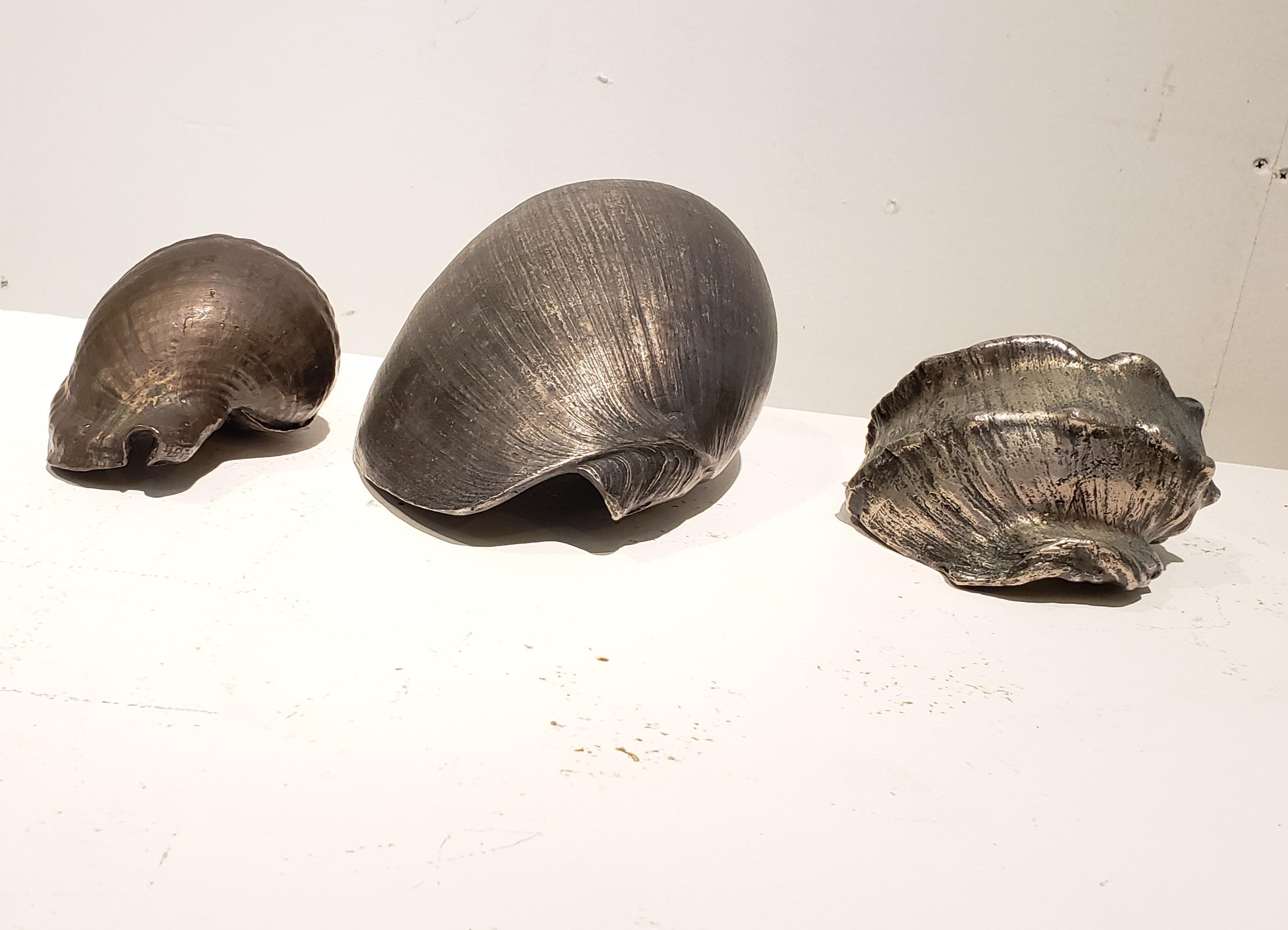 Set of Three Large Antique Italian Silvered Bronze Seashells 3