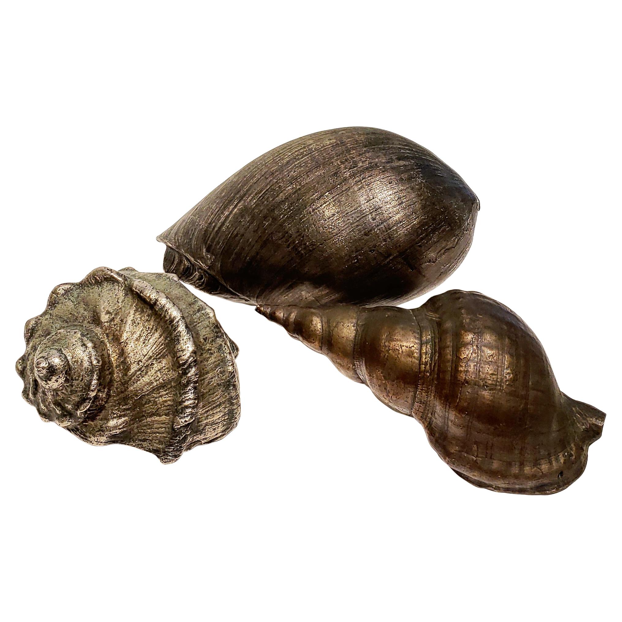 Set of Three Large Antique Italian Silvered Bronze Seashells