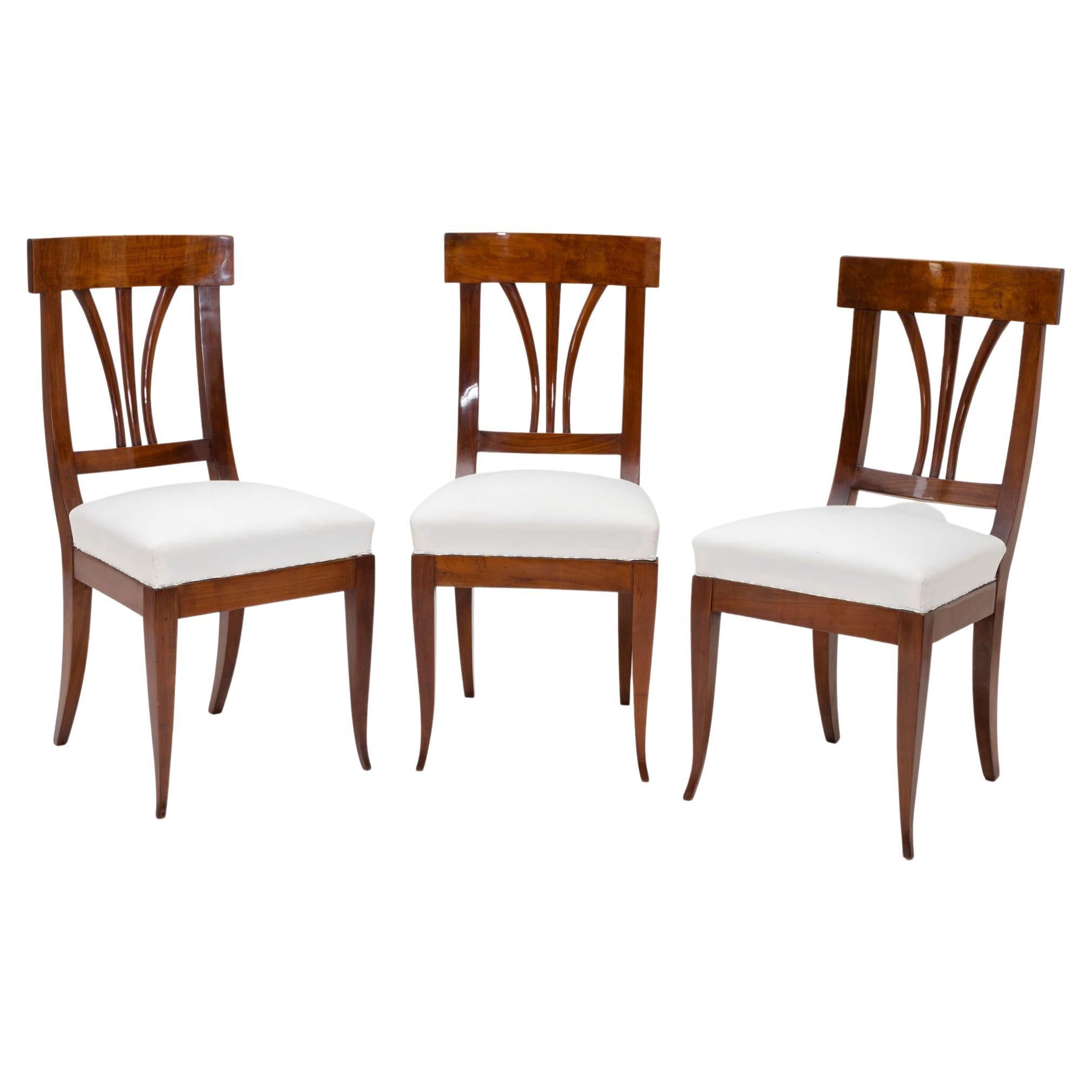 Set of Three Biedermeier Dining Room Chairs, Germany, circa 1820 For Sale