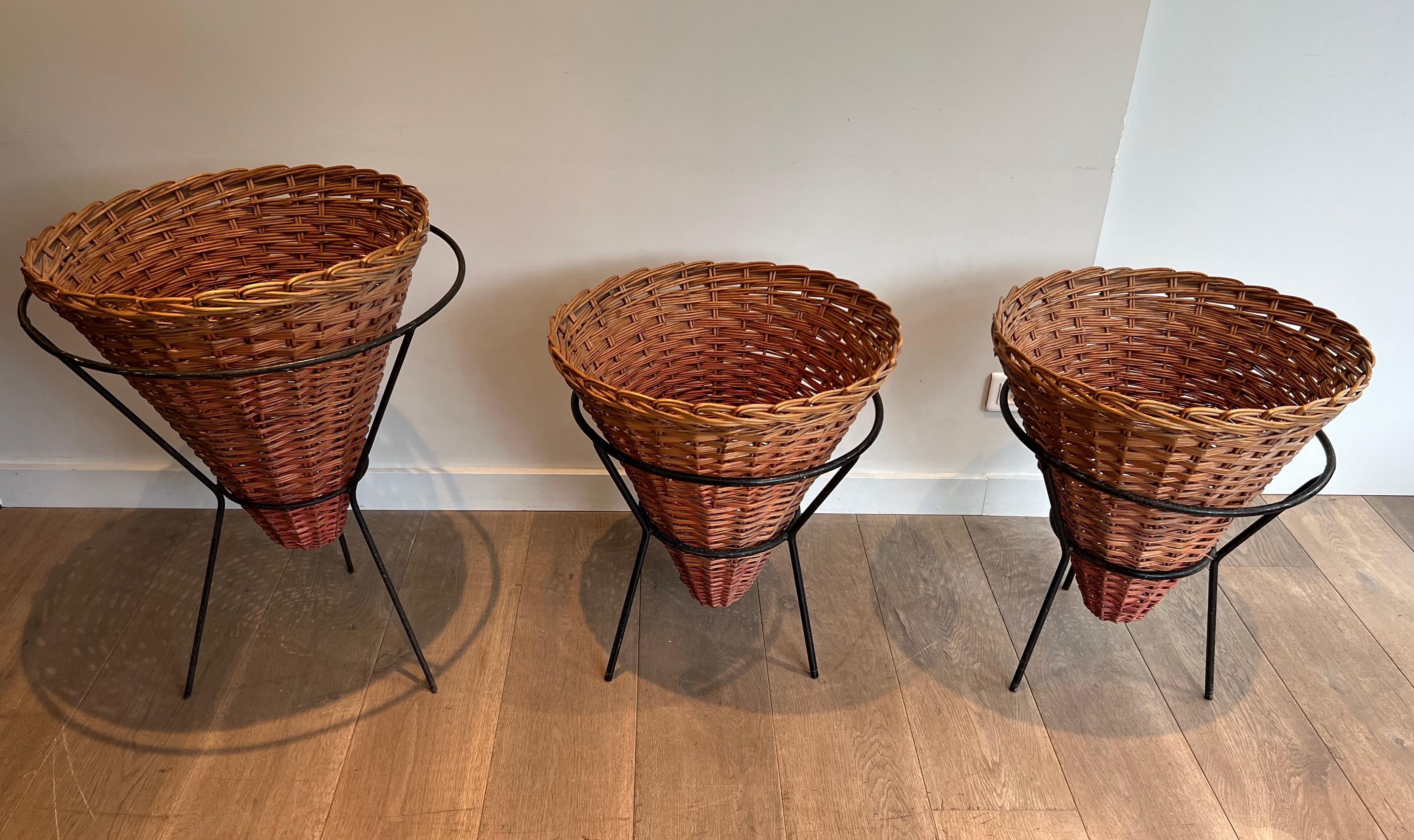 Set of Three Black Lacquered Metal and Rattan Planters, French Work, circa 1950 For Sale 7