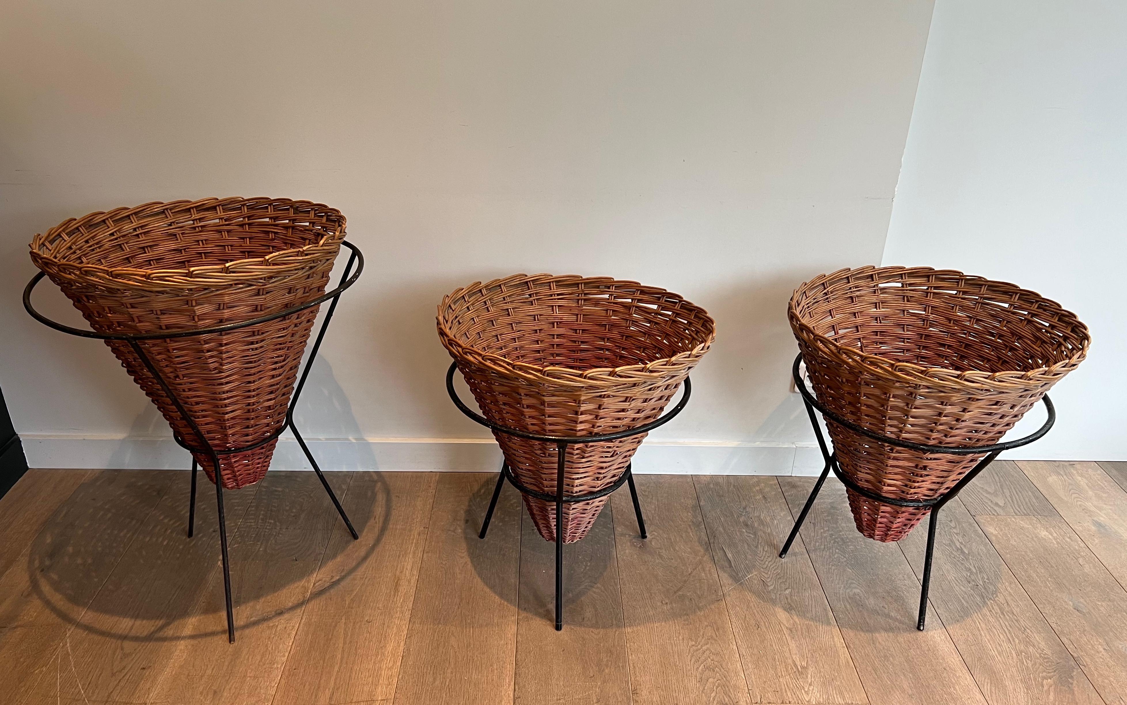 Set of Three Black Lacquered Metal and Rattan Planters, French Work, circa 1950 For Sale 8