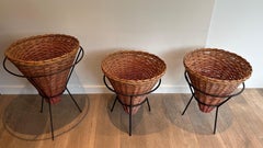 Set of Three Black Lacquered Metal and Rattan Planters, French Work, circa 1950