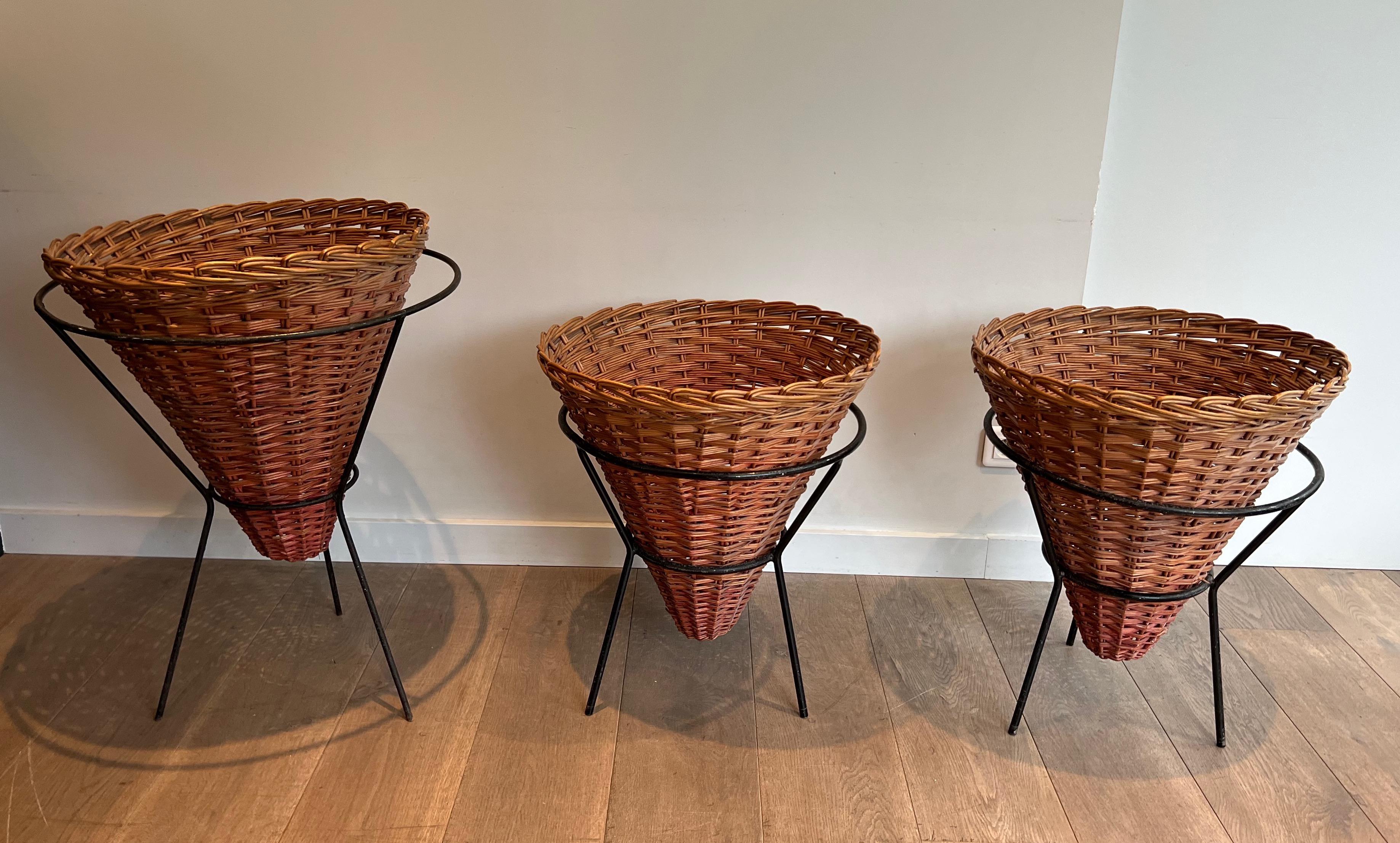 Mid-Century Modern Set of Three Black Lacquered Metal and Rattan Planters, French Work, circa 1950 For Sale