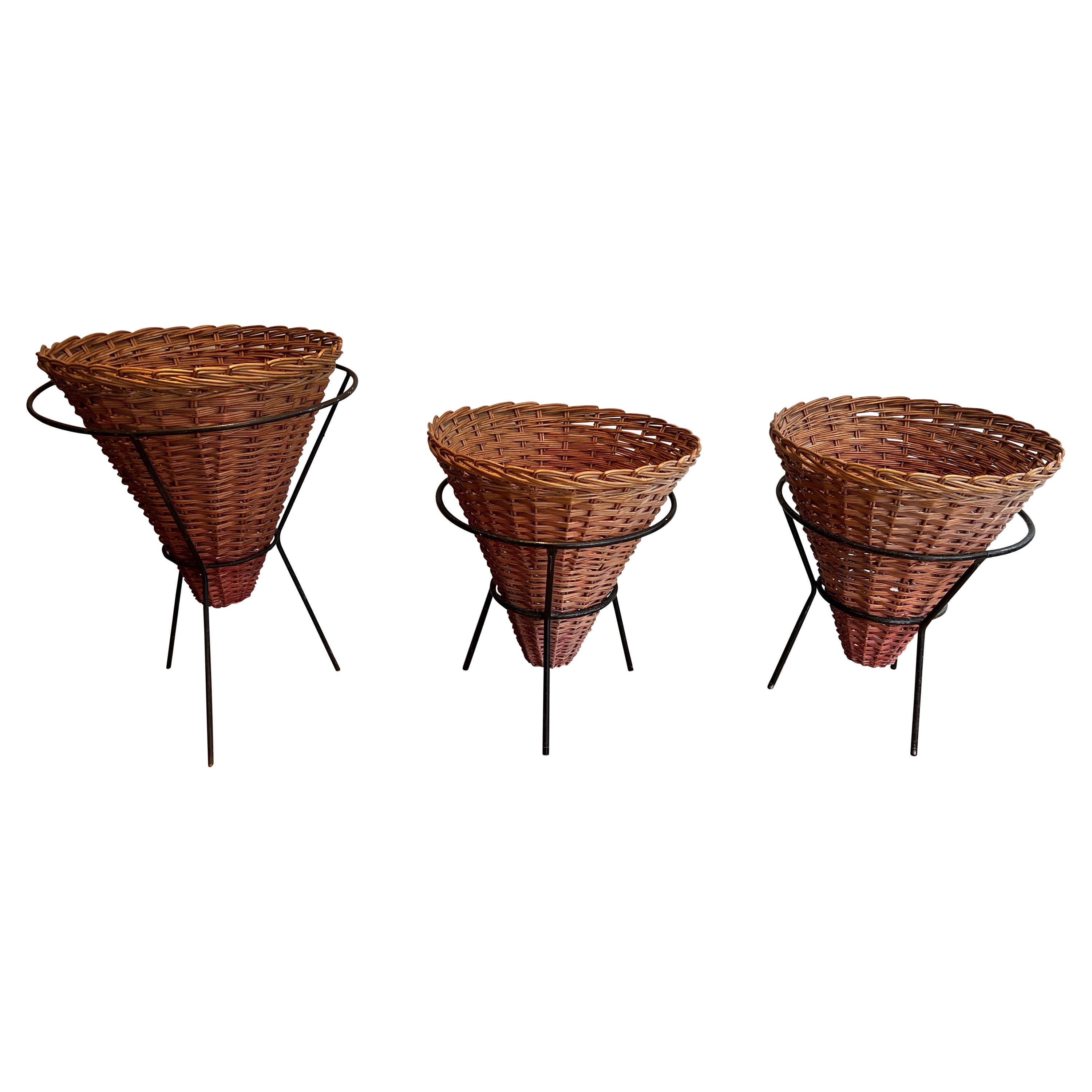 Set di tre fioriere in metallo laccato nero e rattan, lavorazione francese, circa 1950