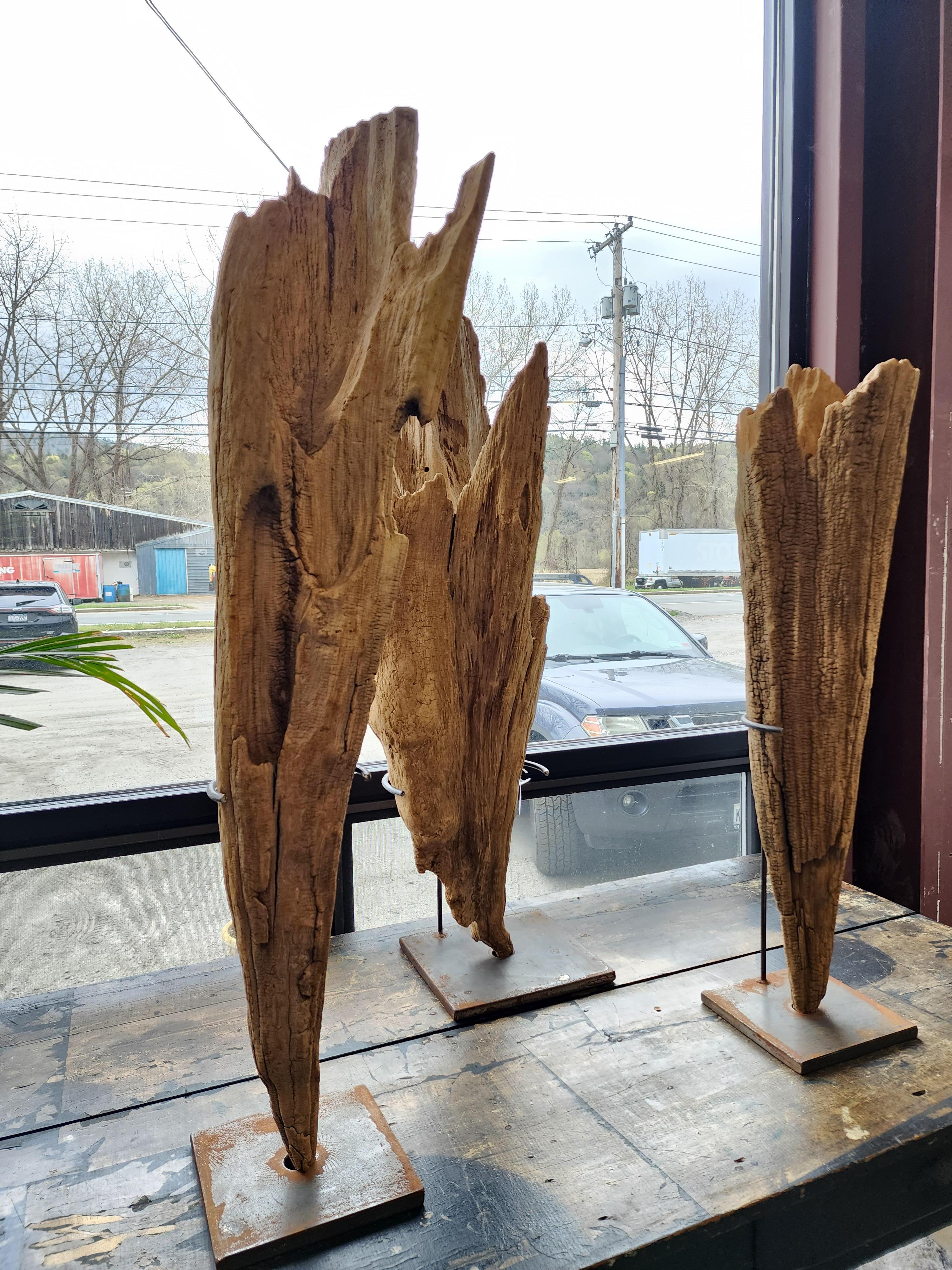 Three Large Bog Cypress Knuckle Sculptures On Custom Mounts 4