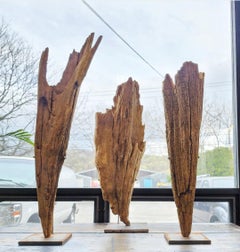 Tres grandes esculturas de nudillos de ciprés de los pantanos en soportes a medida