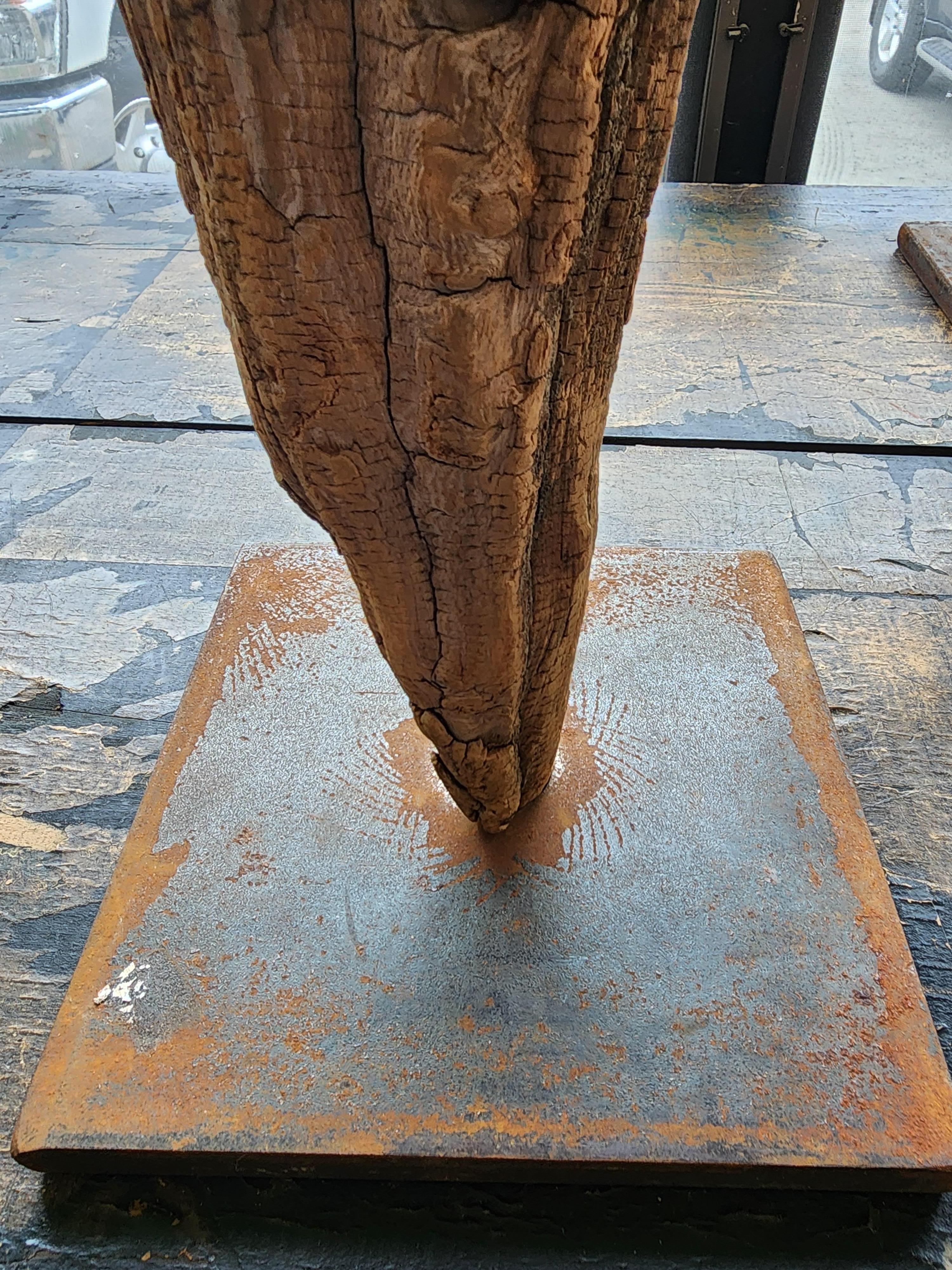 Three Large Bog Cypress Knuckle Sculptures On Custom Mounts In Excellent Condition In Hudson, NY