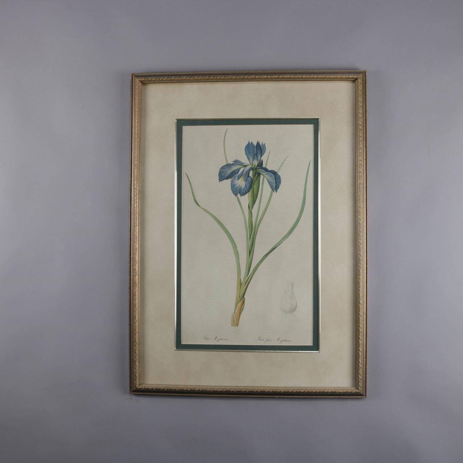Set of three framed botanical prints depict flowers including Iris, circa 1990

***DELIVERY NOTICE – Due to COVID-19 we are employing NO-CONTACT PRACTICES in the transfer of purchased items.  Additionally, for those who prefer to delay