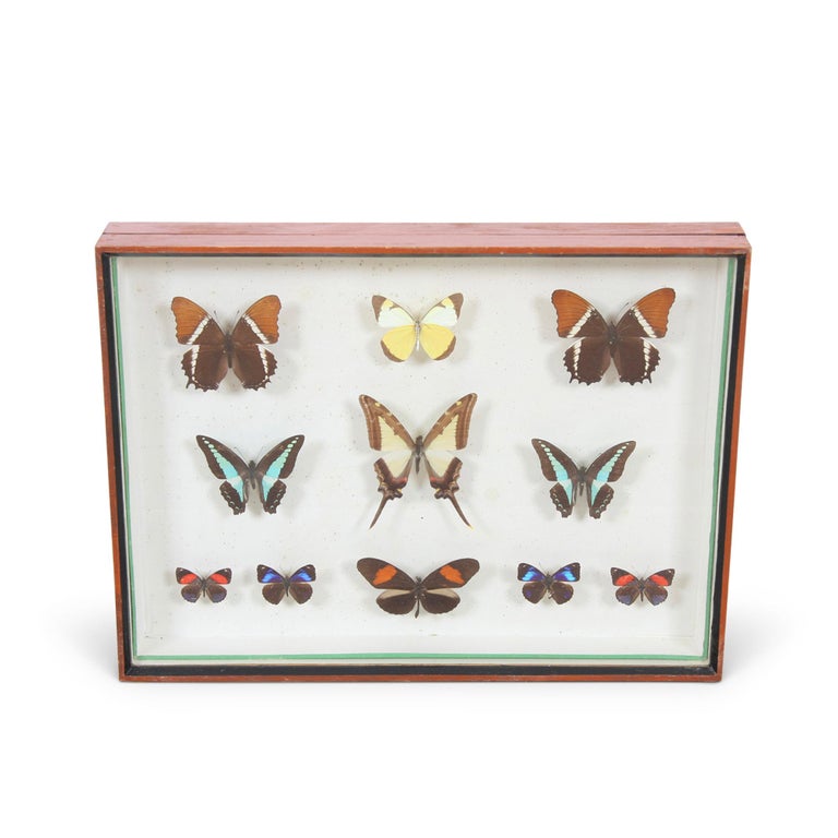Set of Three Butterfly Boxes at 1stDibs