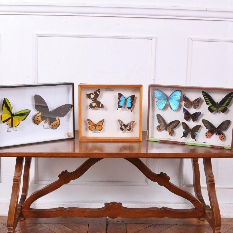 Set of Three Butterfly Boxes 1