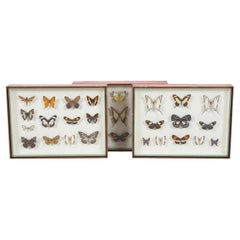 Vintage Set of Three Butterfly Boxes