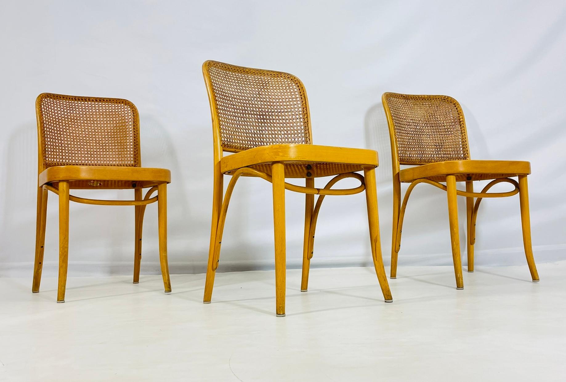 Canne Ensemble de trois chaises d'appoint en rotin et bois cintré de Loewenstein/Oggo, États-Unis, années 1960 en vente