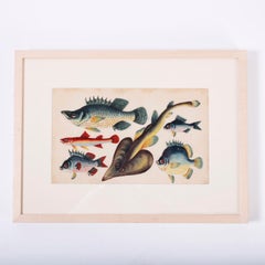 Set of Three Chinese Pith Paintings of Fish