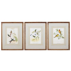 Victorian Prints